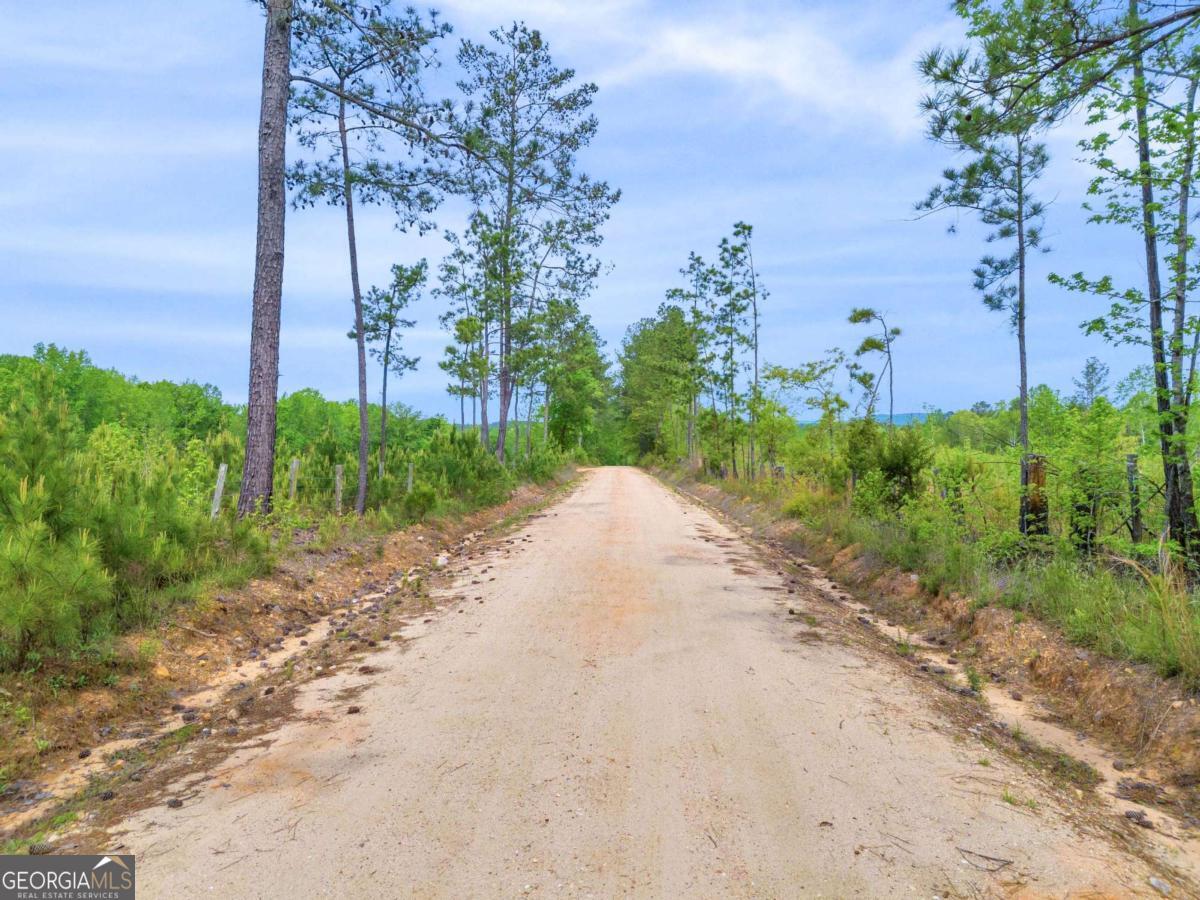 2450 Chestnut Grove Road Shiloh GA 31826