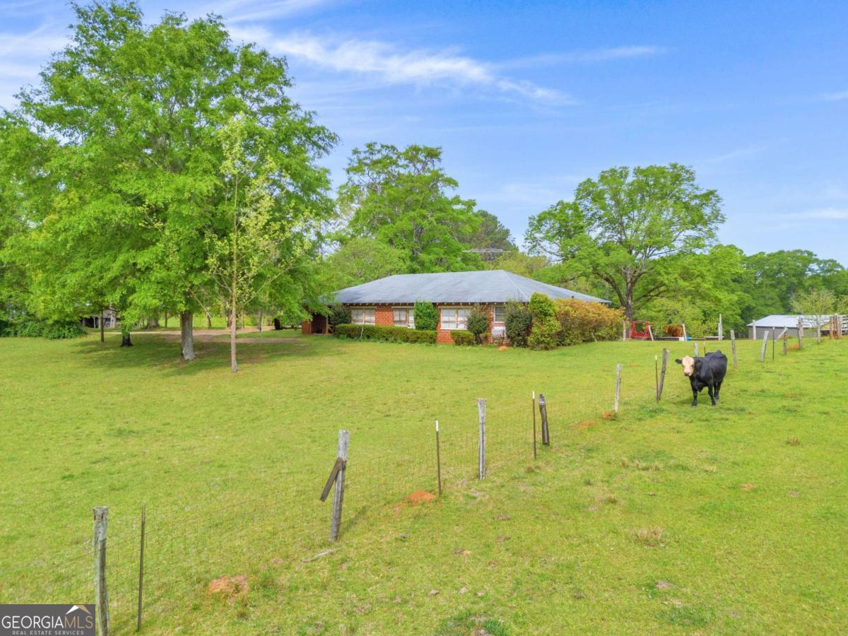2450 Chestnut Grove Road Shiloh GA 31826