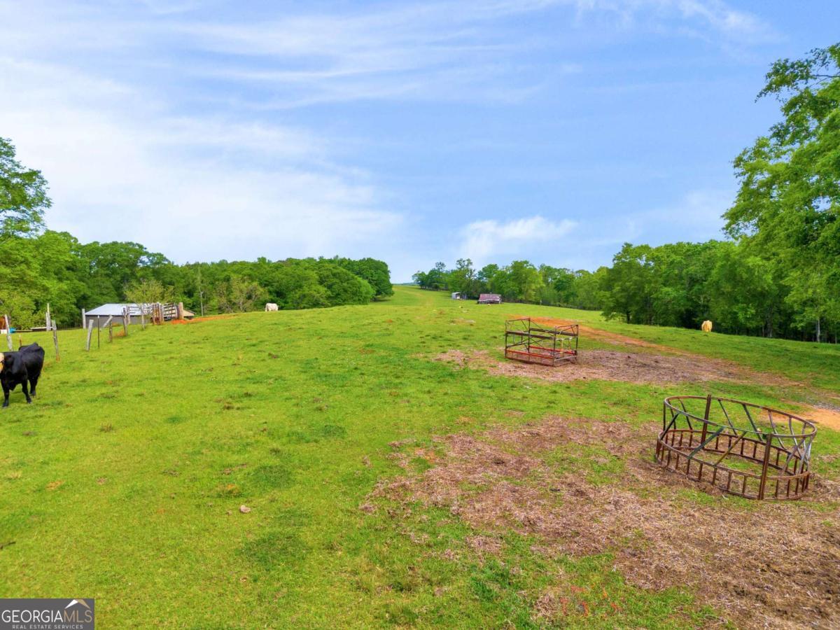 2450 Chestnut Grove Road Shiloh GA 31826