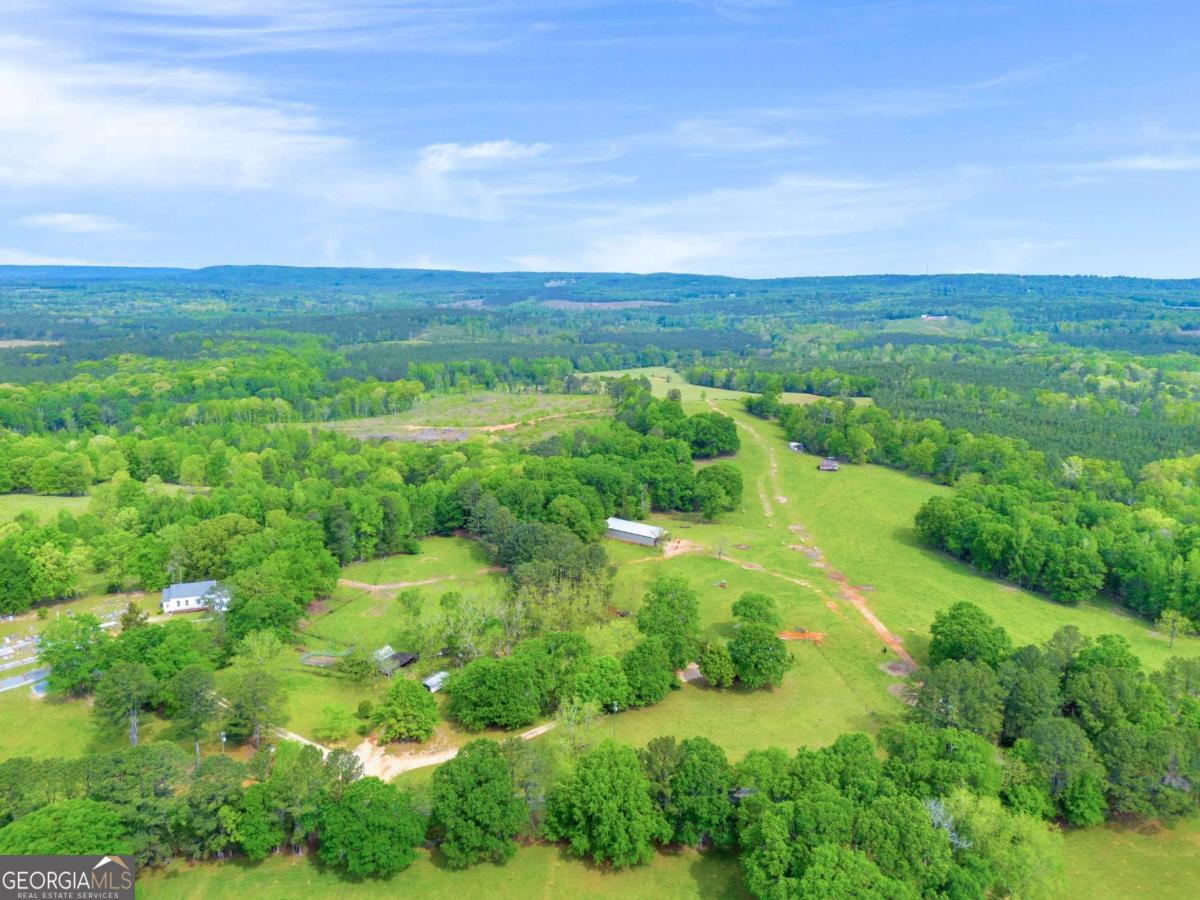 2450 Chestnut Grove Road Shiloh GA 31826