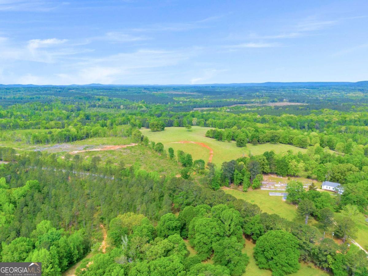 2450 Chestnut Grove Road Shiloh GA 31826