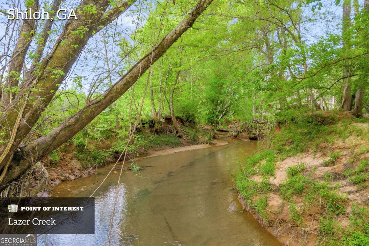 2450 Chestnut Grove Road Shiloh GA 31826