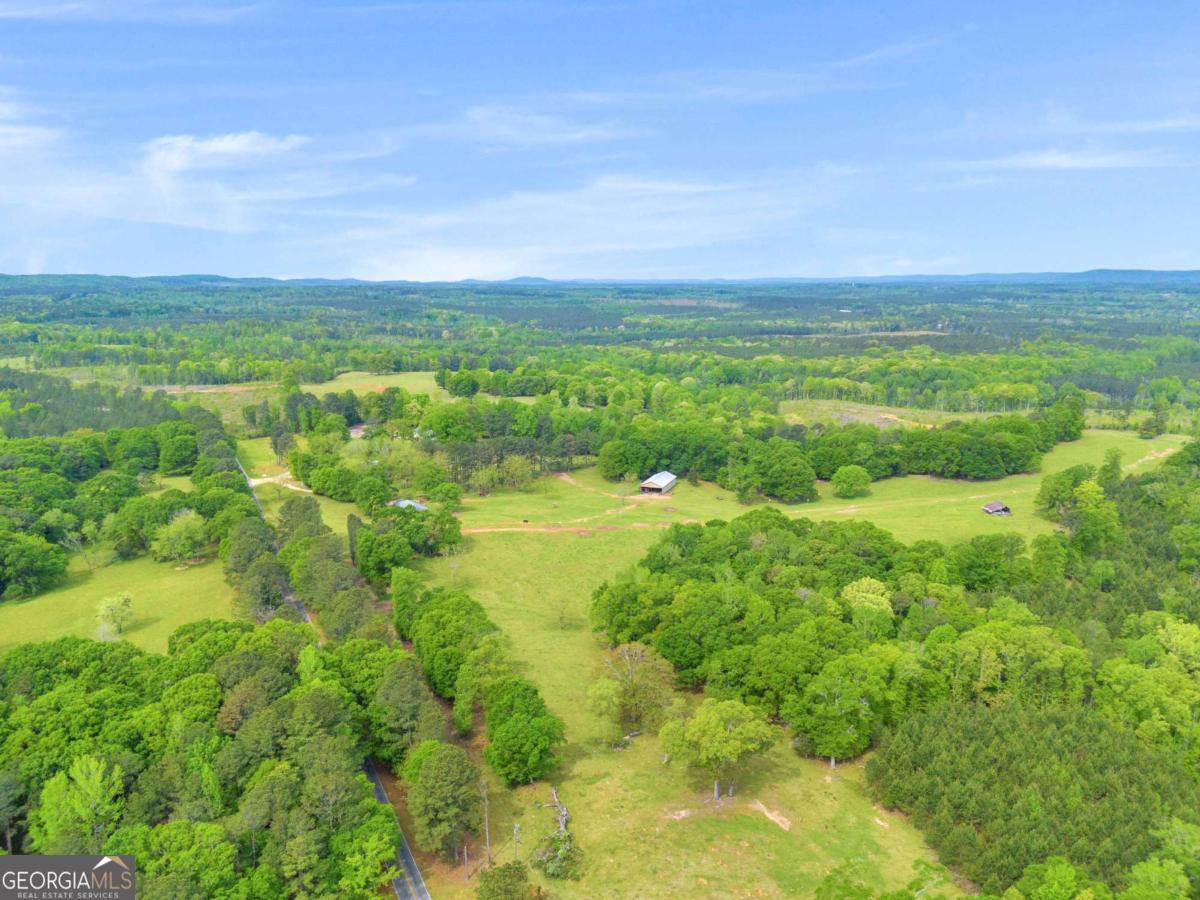 2450 Chestnut Grove Road Shiloh GA 31826