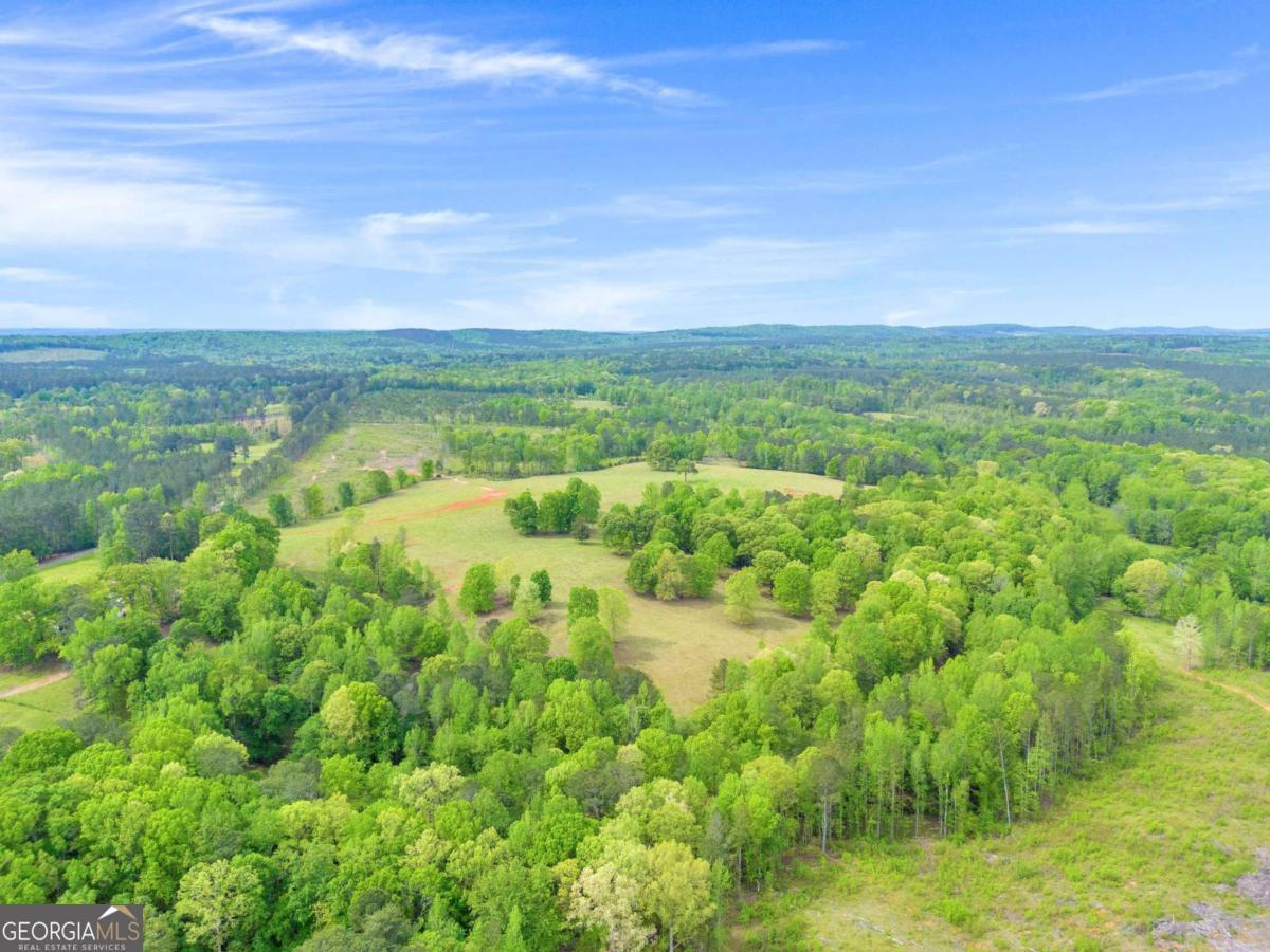 2450 Chestnut Grove Road Shiloh GA 31826