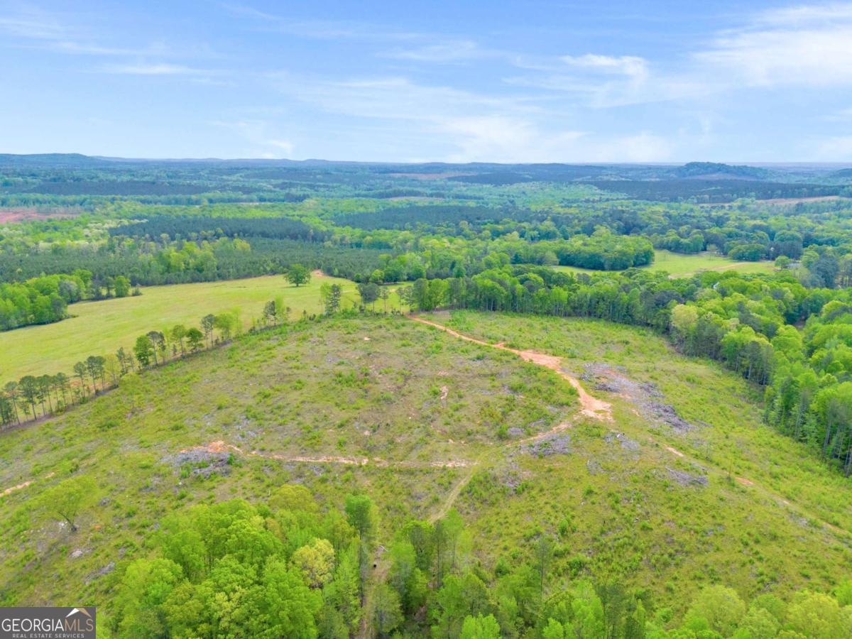 2450 Chestnut Grove Road Shiloh GA 31826