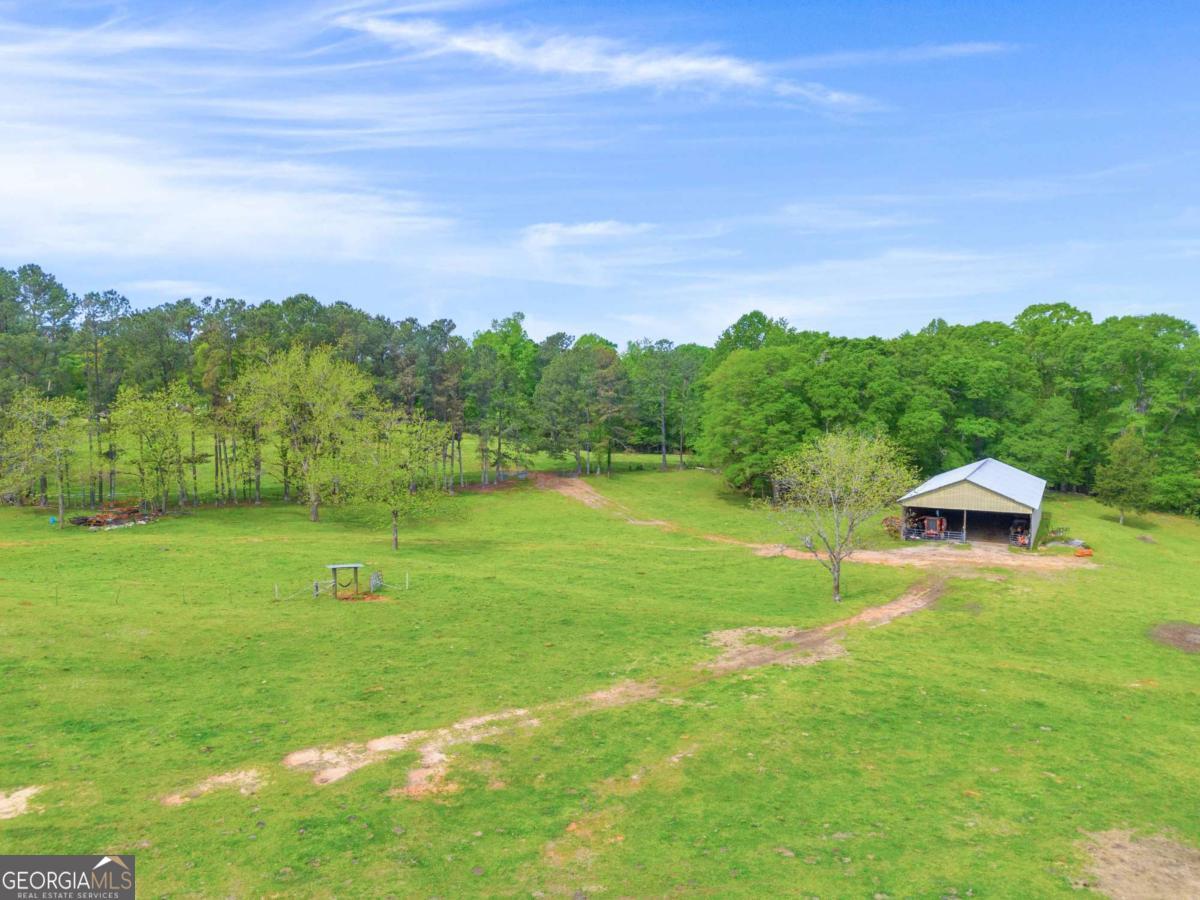 2450 Chestnut Grove Road Shiloh GA 31826