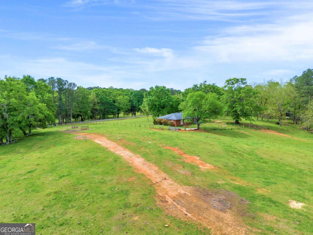 2450 Chestnut Grove Road Shiloh GA 31826