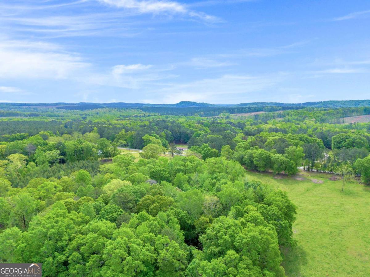 2450 Chestnut Grove Road Shiloh GA 31826