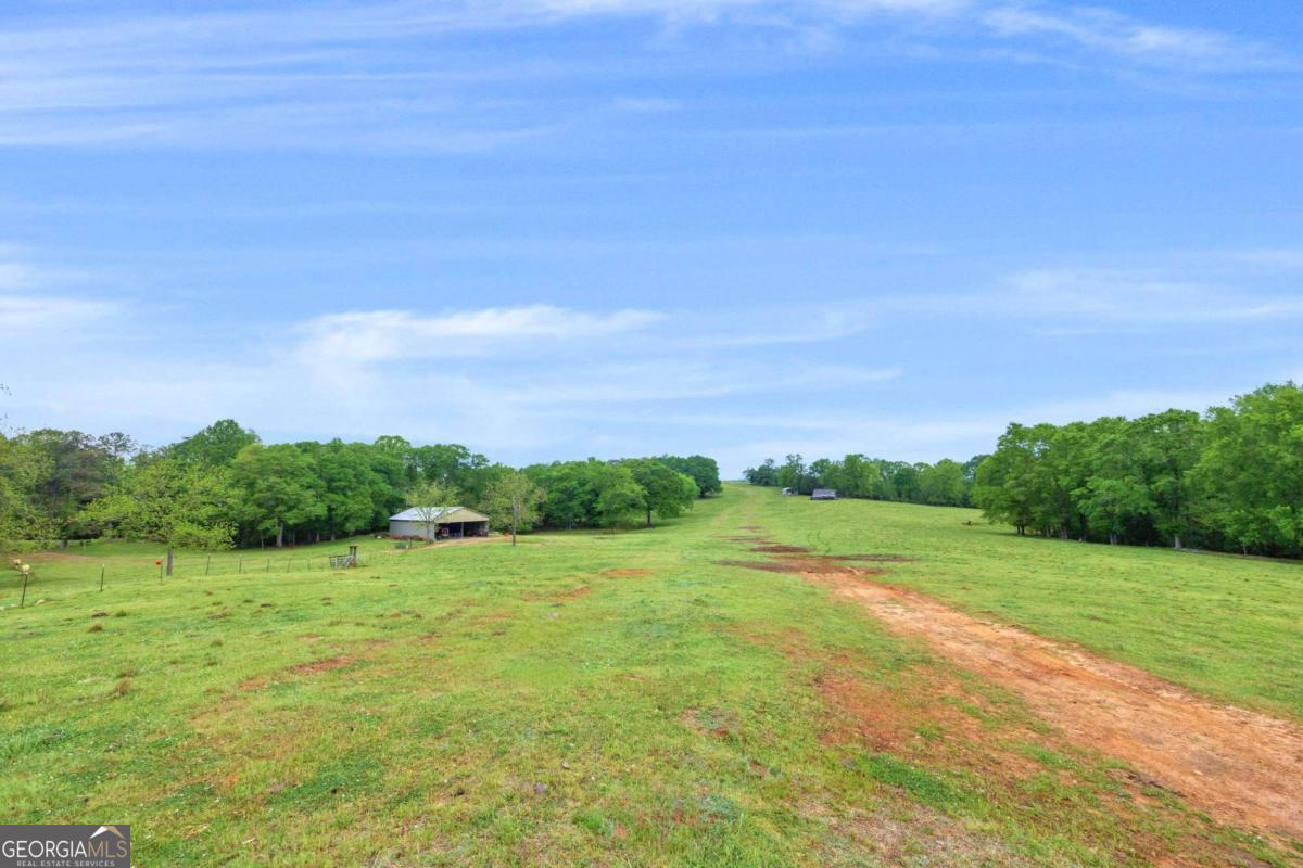2450 Chestnut Grove Road Shiloh GA 31826