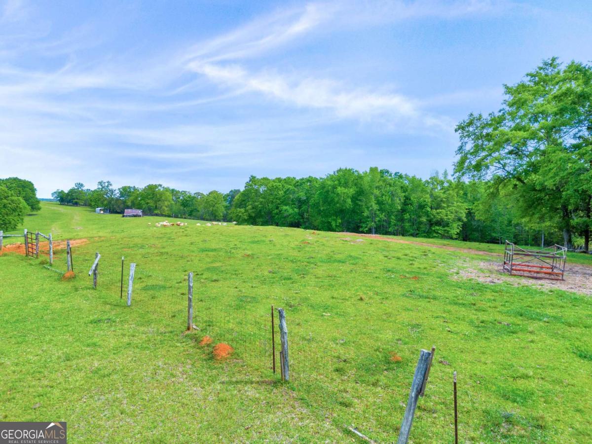 2450 Chestnut Grove Road Shiloh GA 31826