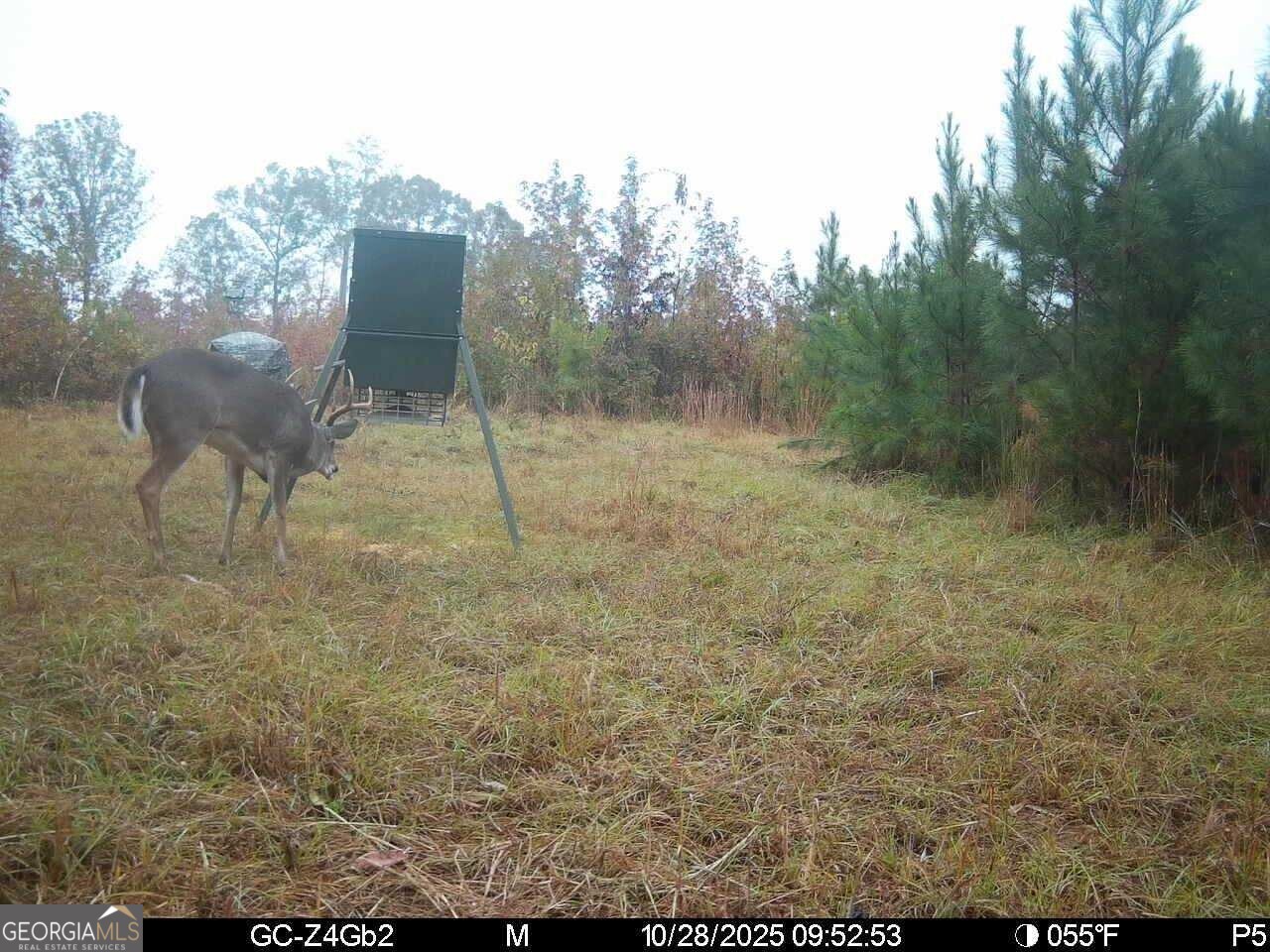 2450 Chestnut Grove Road Shiloh GA 31826
