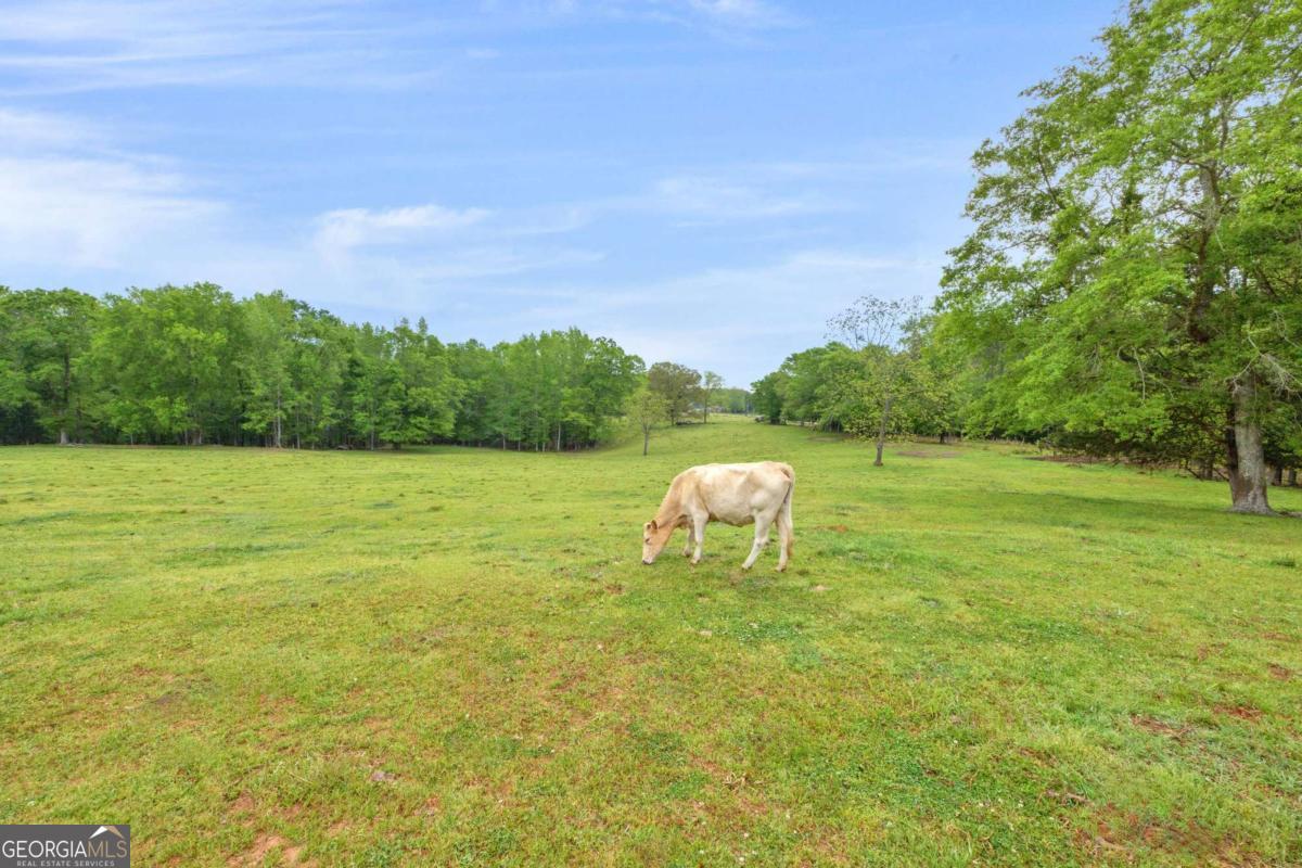 2450 Chestnut Grove Road Shiloh GA 31826