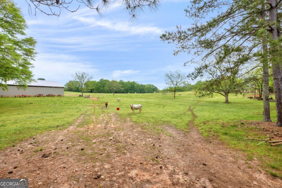 2450 Chestnut Grove Road Shiloh GA 31826