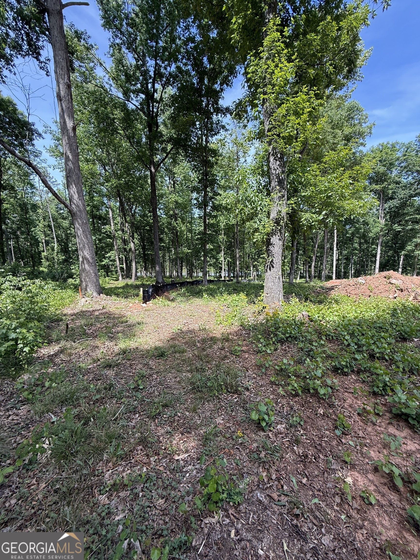 354 Sanford Oak Court Nicholson GA 30565