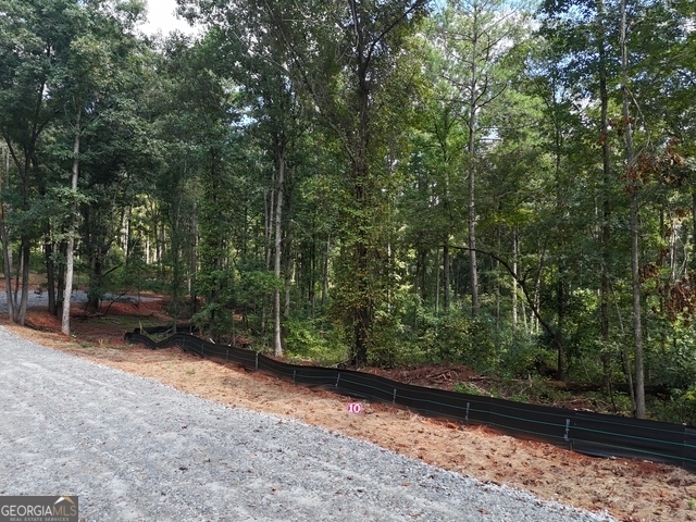354 Sanford Oak Court Nicholson GA 30565