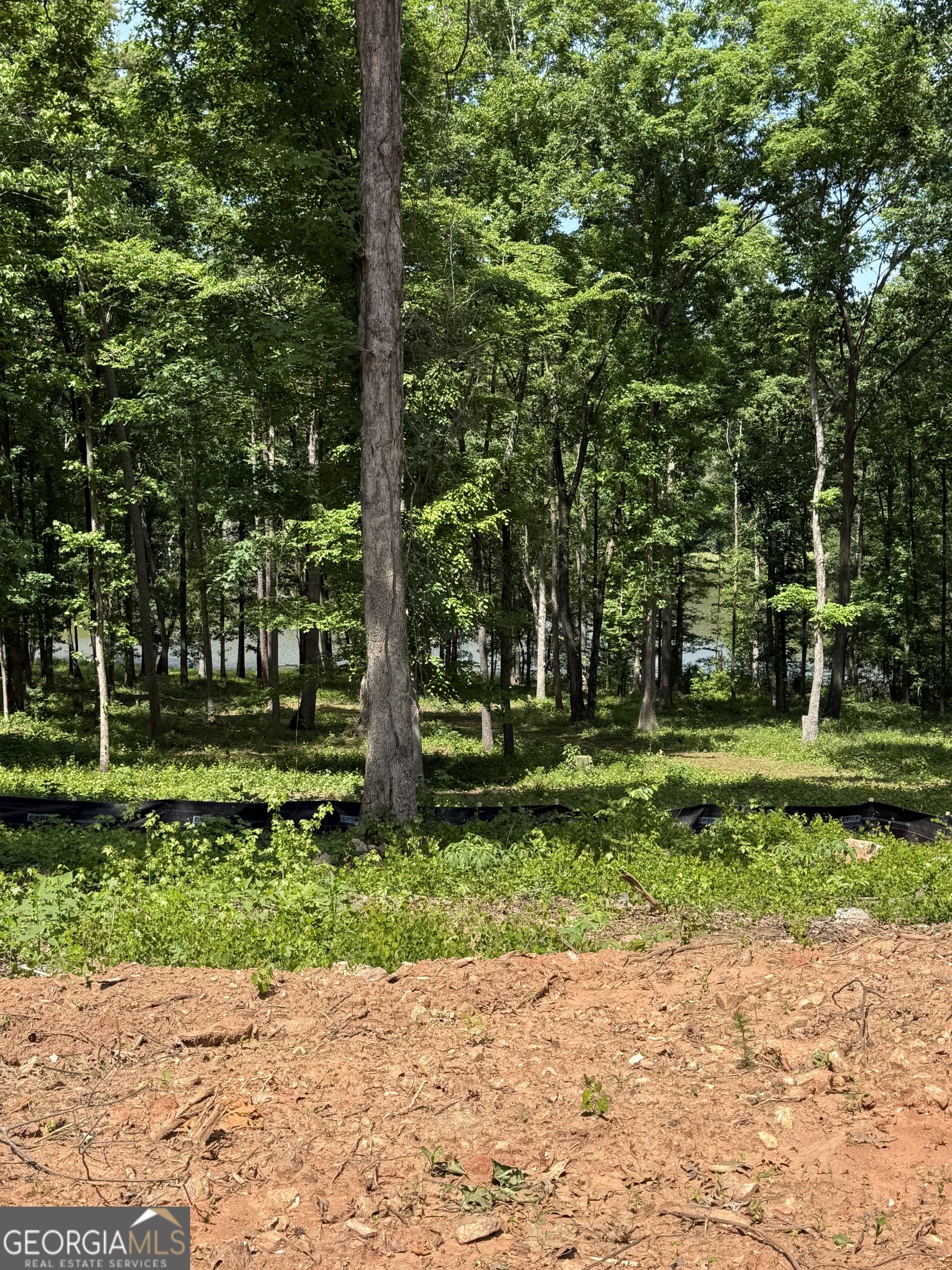 354 Sanford Oak Court Nicholson GA 30565