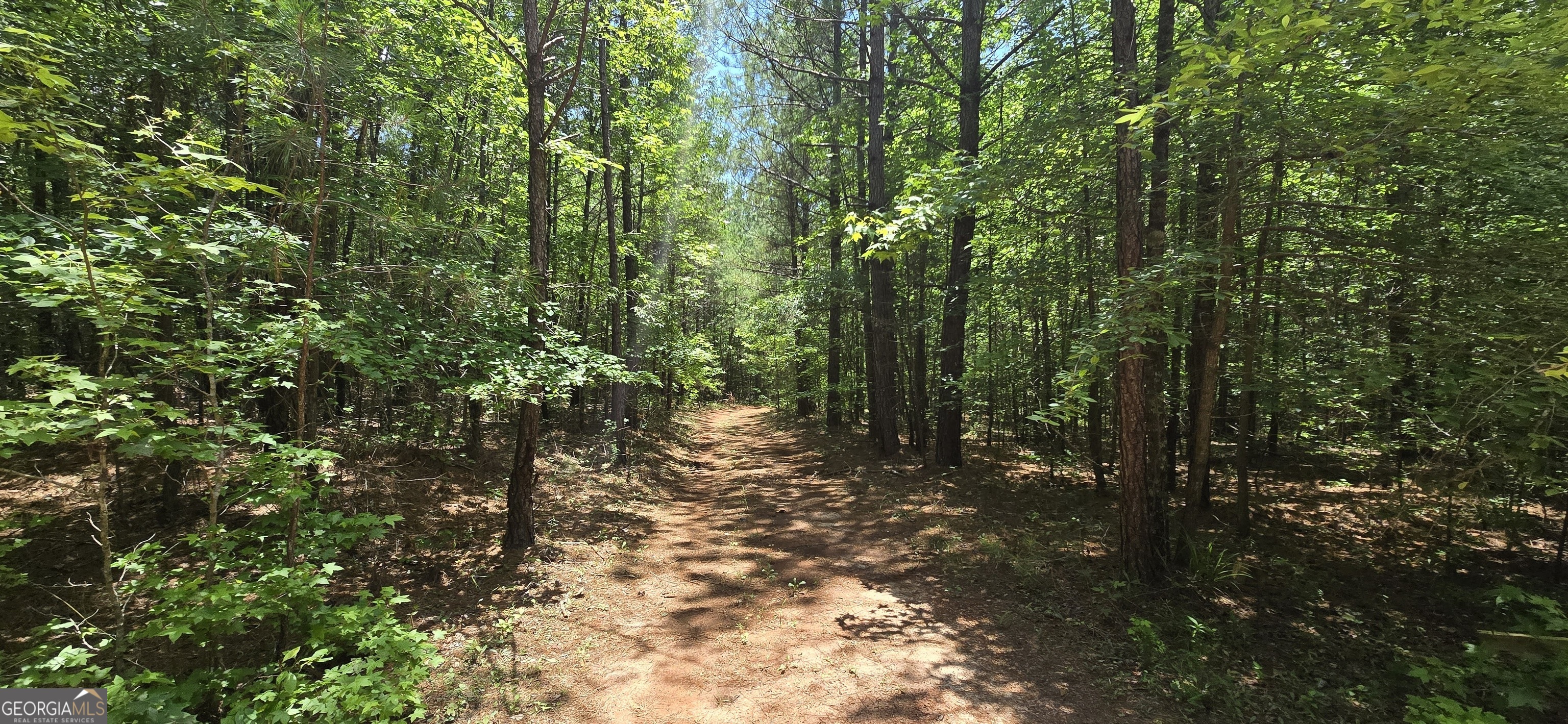 1693 S Mcdonough Road Griffin GA 30224