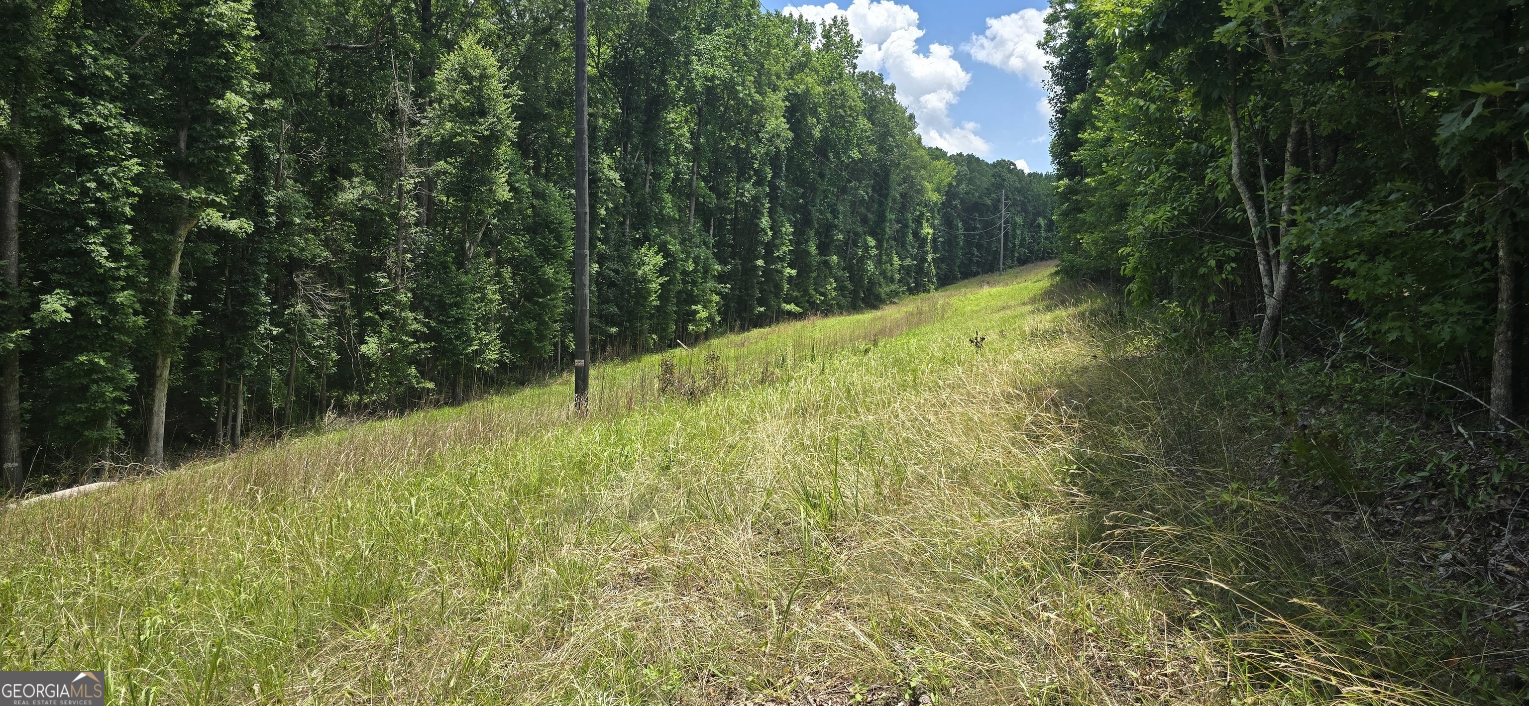 1693 S Mcdonough Road Griffin GA 30224