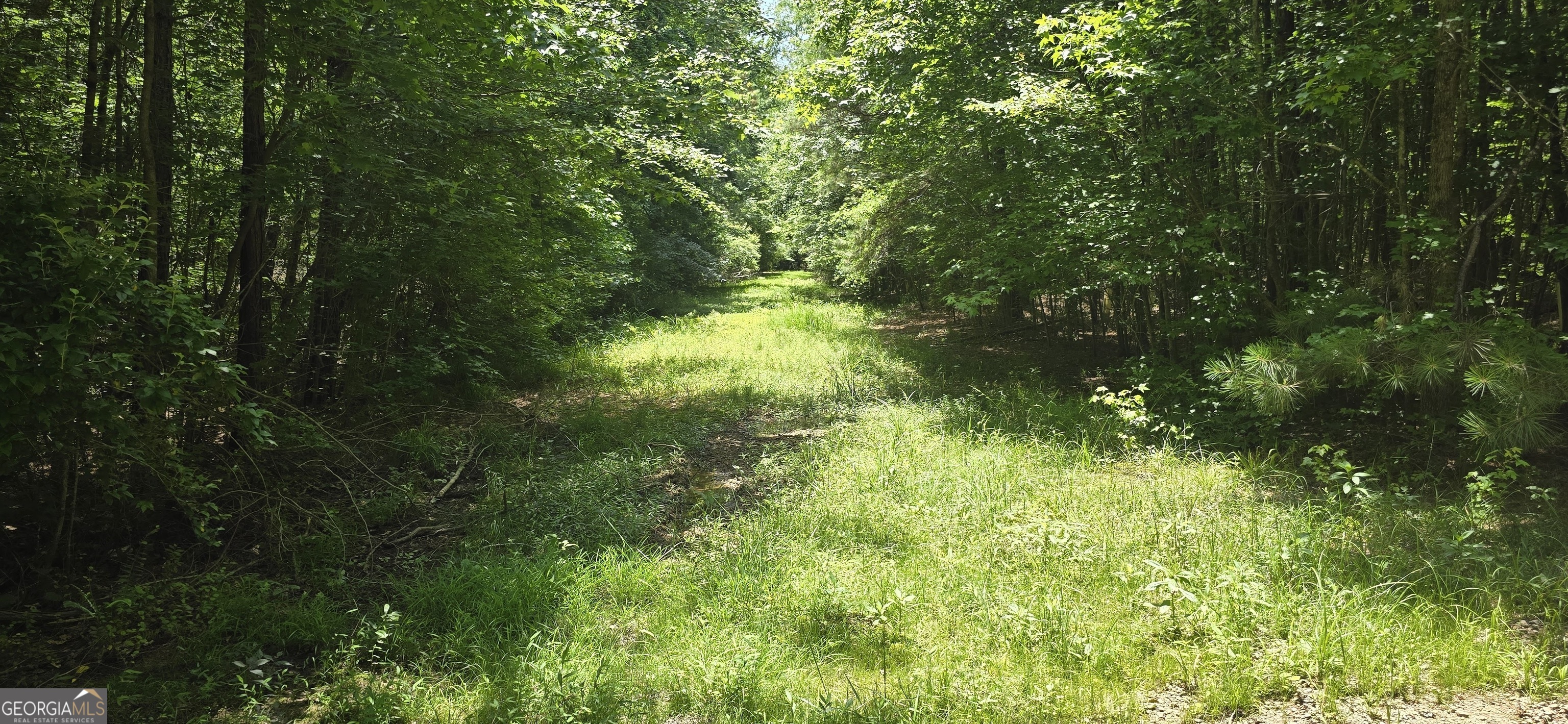 1693 S Mcdonough Road Griffin GA 30224