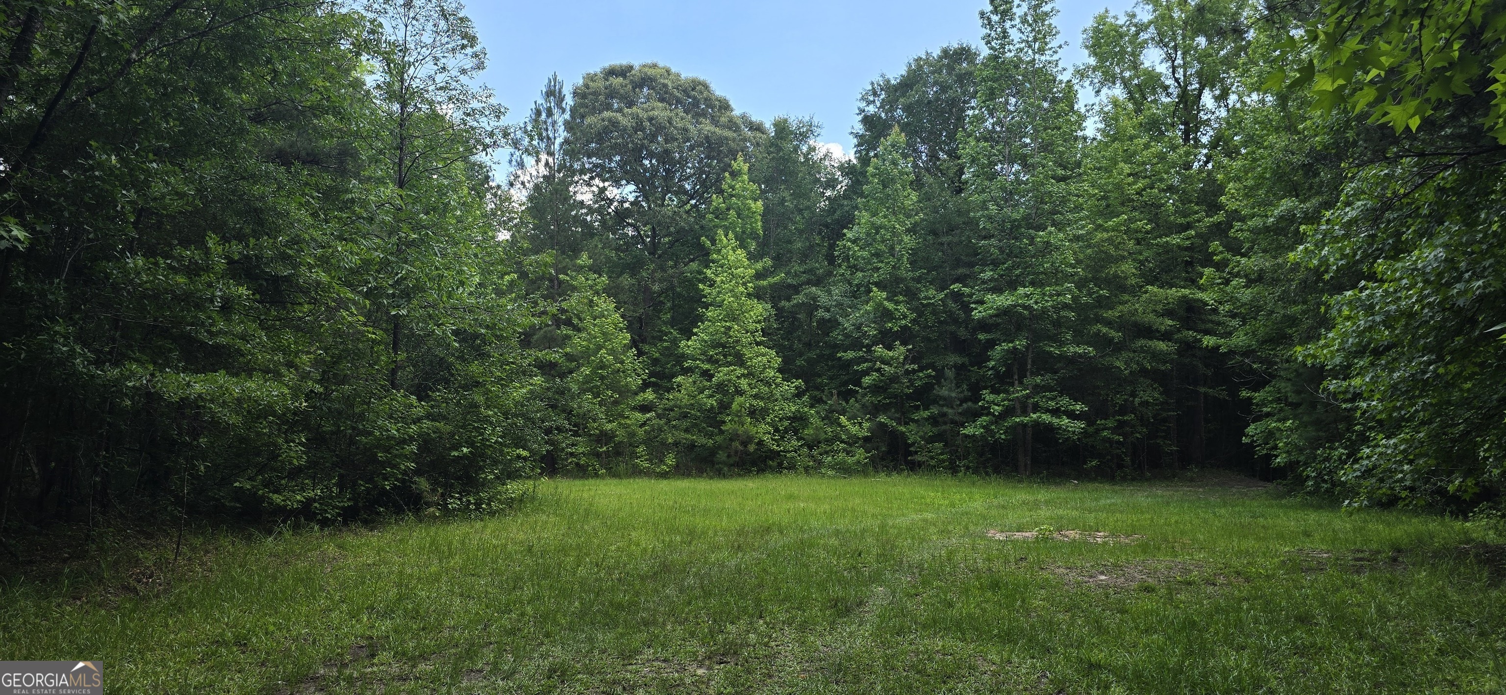 1693 S Mcdonough Road Griffin GA 30224