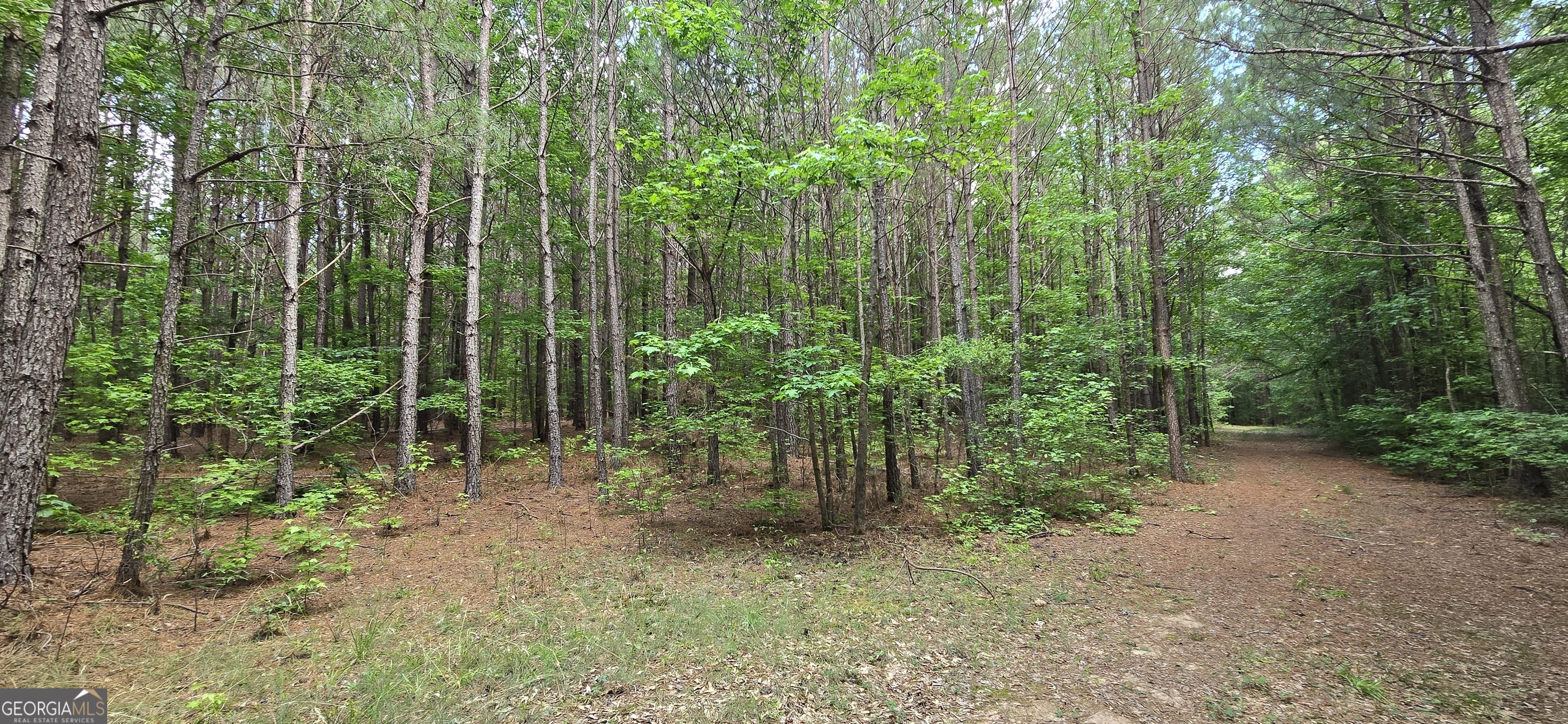 1693 S Mcdonough Road Griffin GA 30224