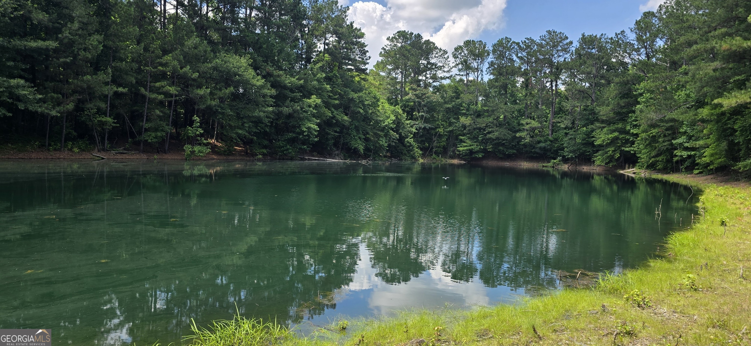 1693 S Mcdonough Road Griffin GA 30224