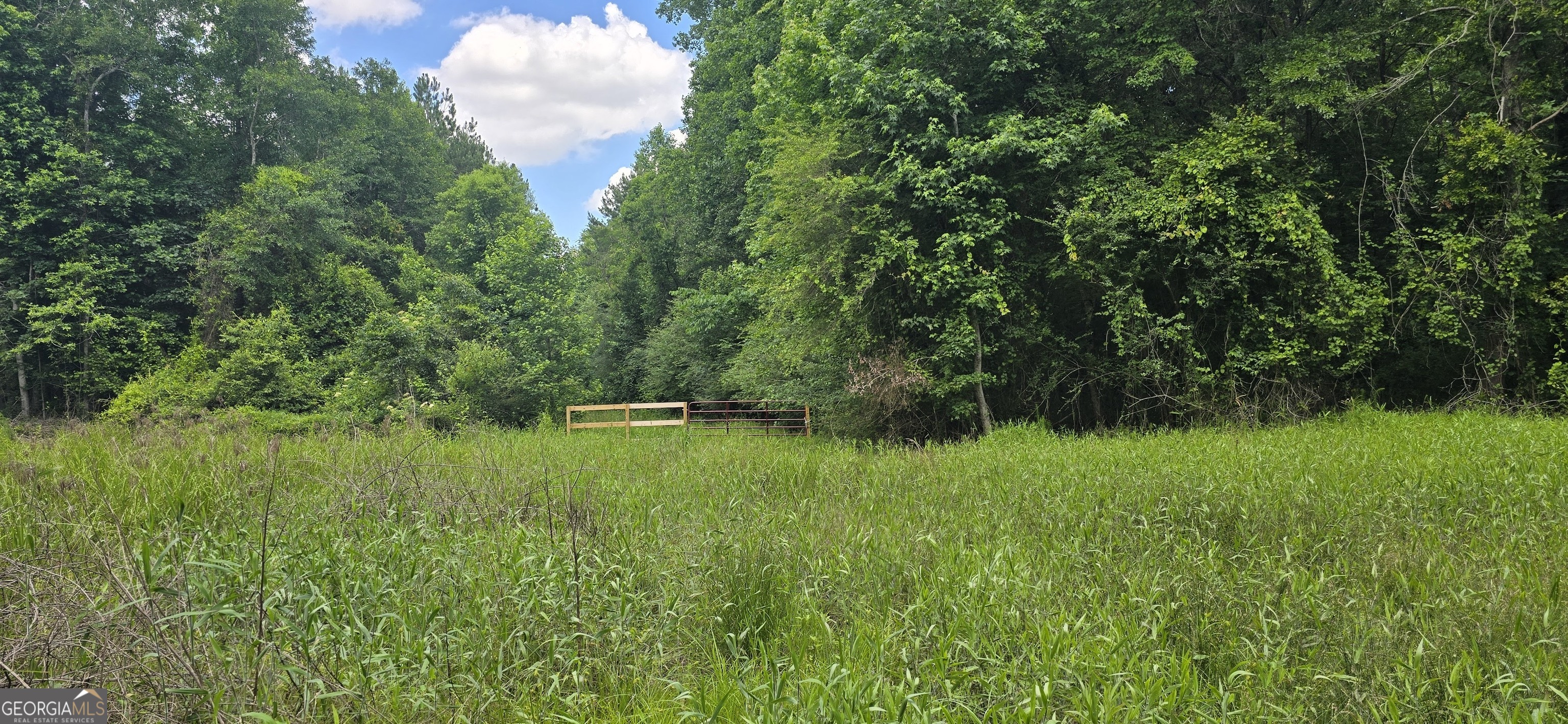 1693 S Mcdonough Road Griffin GA 30224