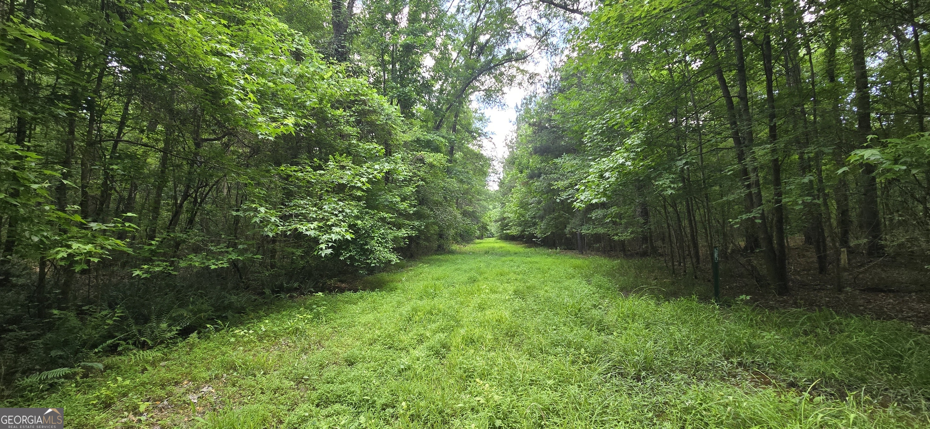 1693 S Mcdonough Road Griffin GA 30224