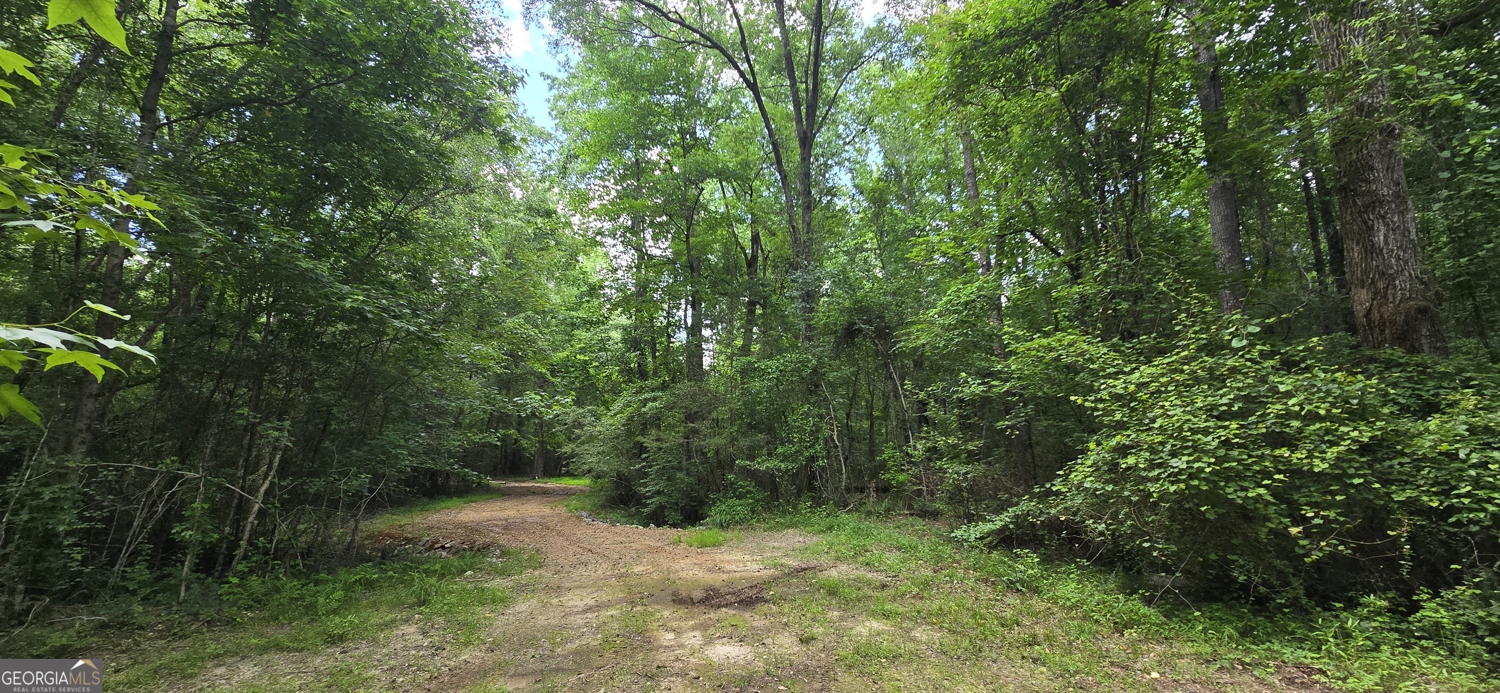 1693 S Mcdonough Road Griffin GA 30224