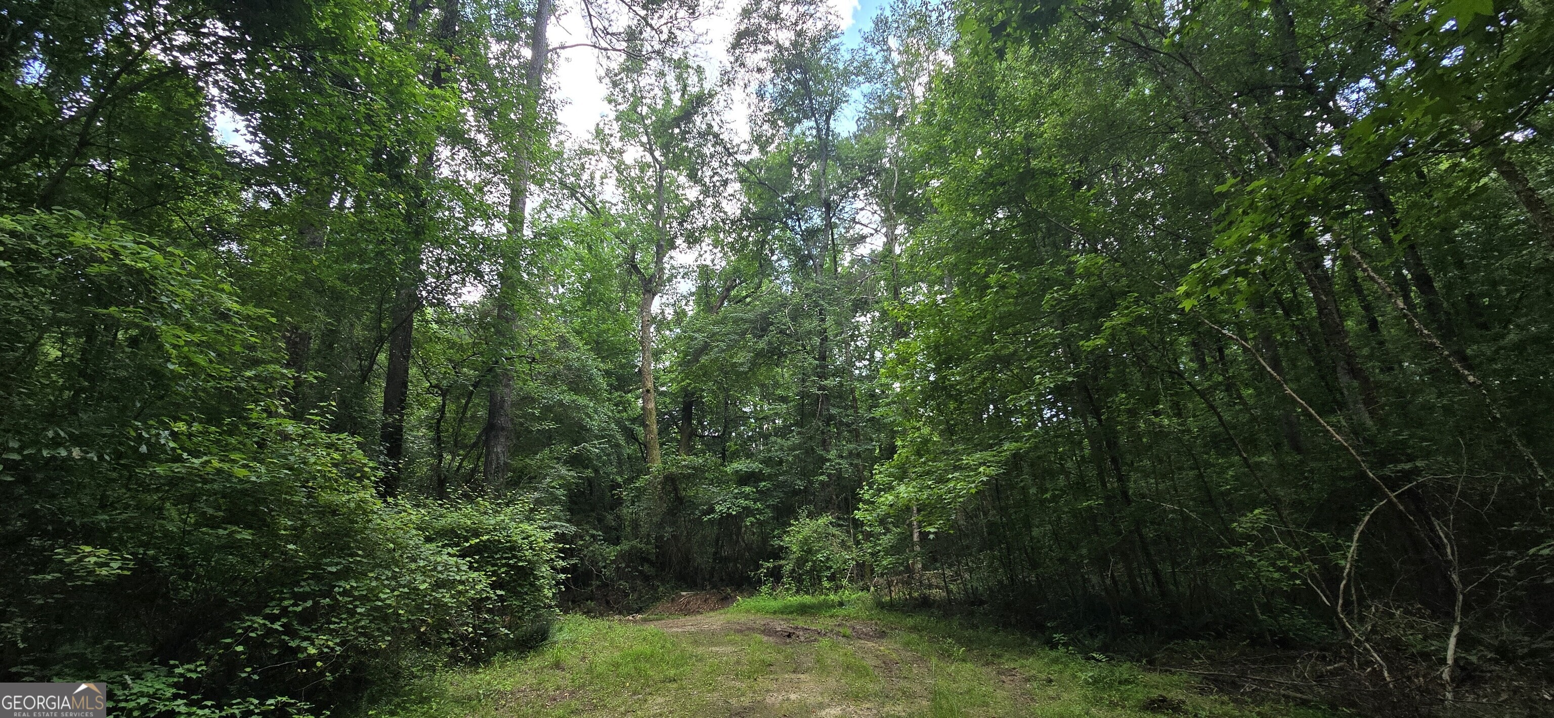 1693 S Mcdonough Road Griffin GA 30224