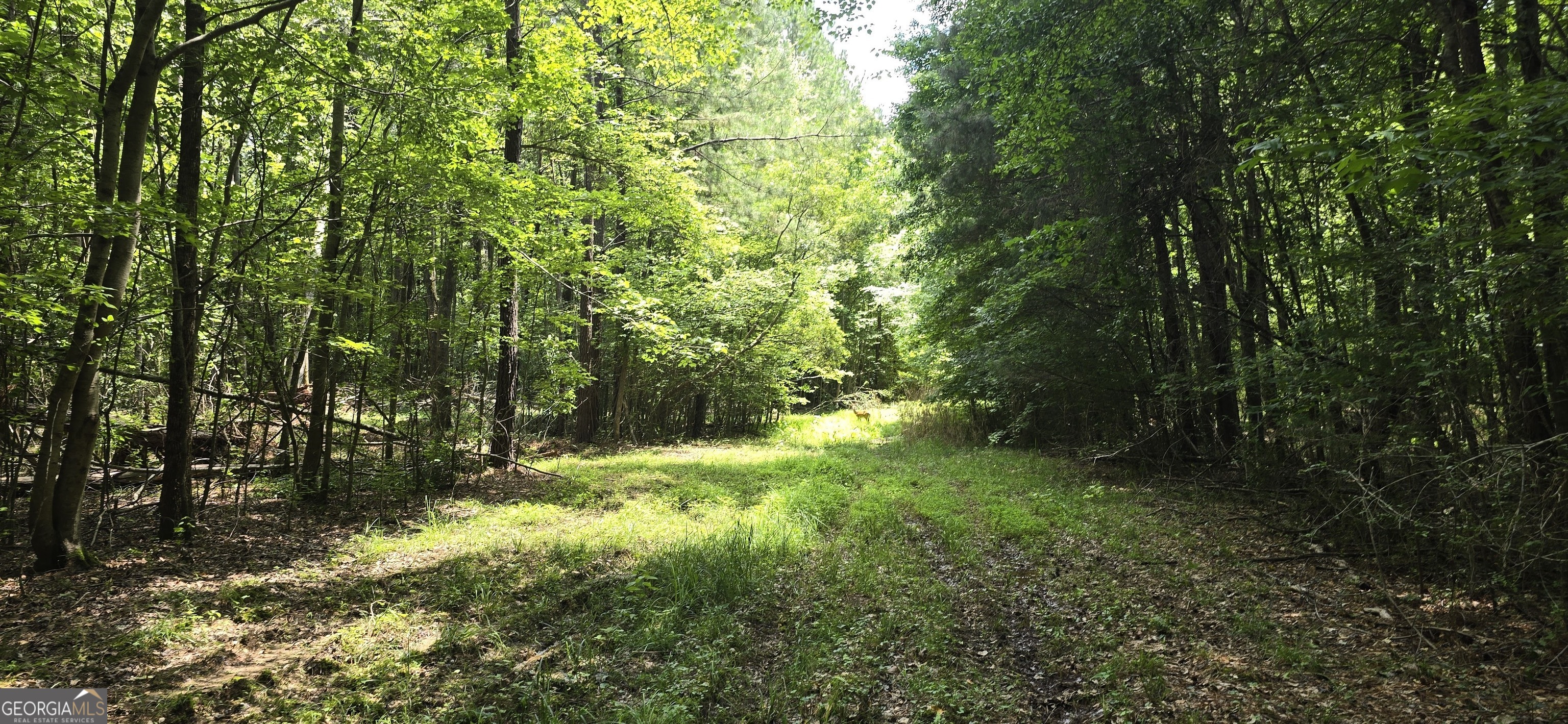 1693 S Mcdonough Road Griffin GA 30224