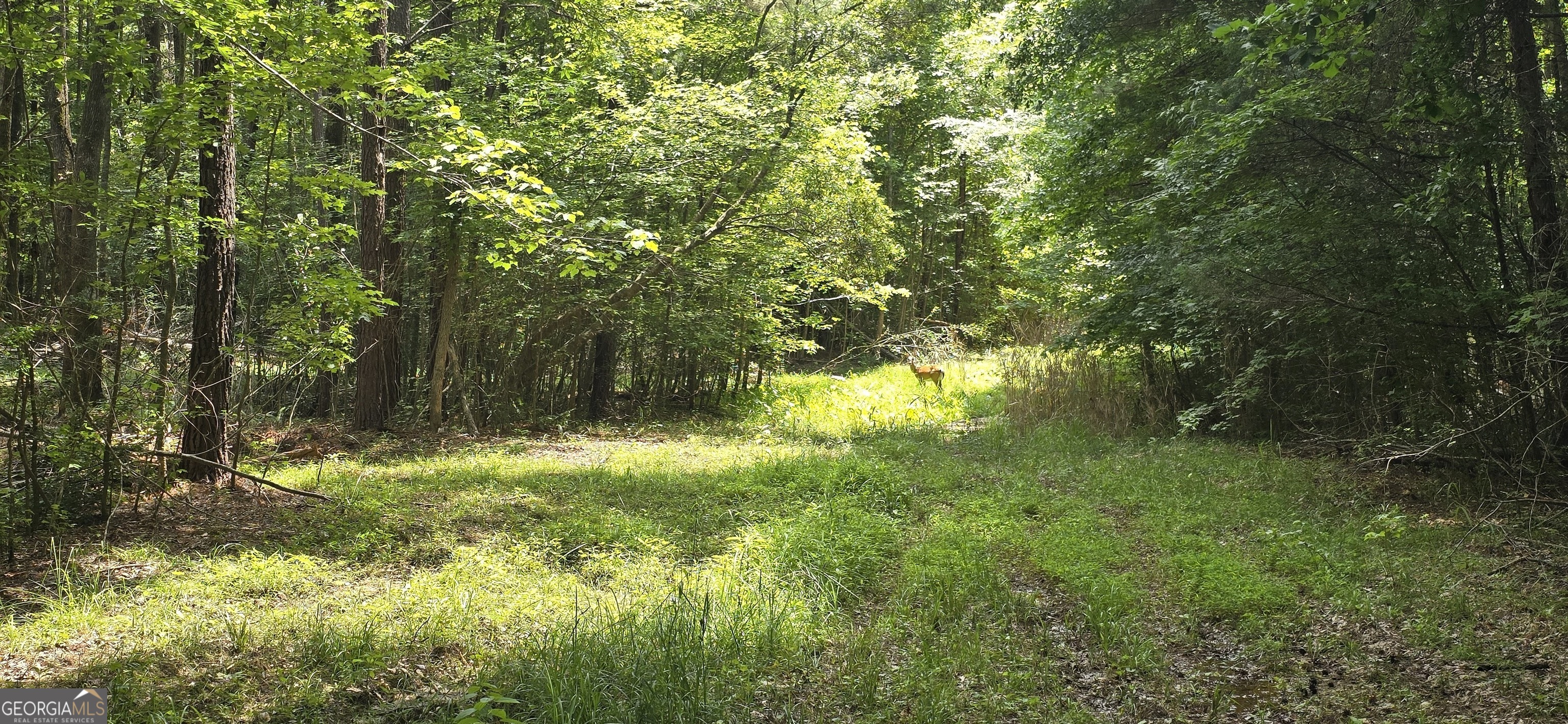 1693 S Mcdonough Road Griffin GA 30224
