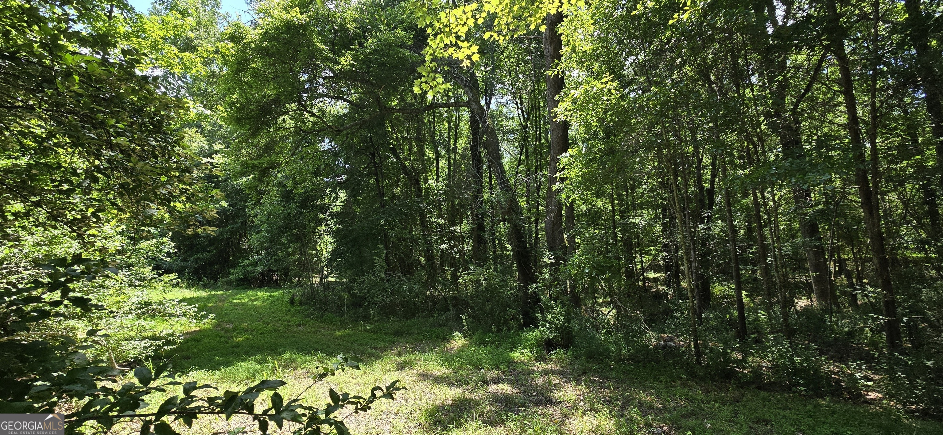 1693 S Mcdonough Road Griffin GA 30224