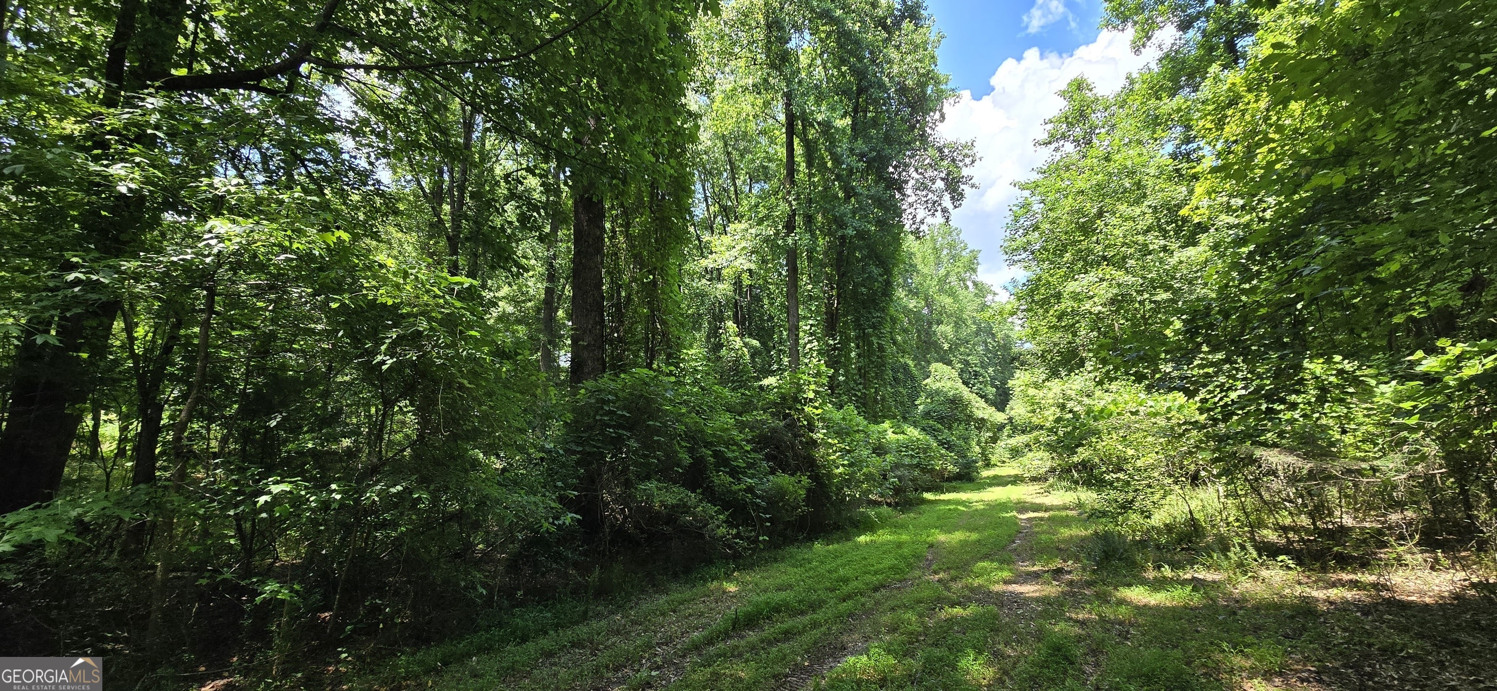 1693 S Mcdonough Road Griffin GA 30224