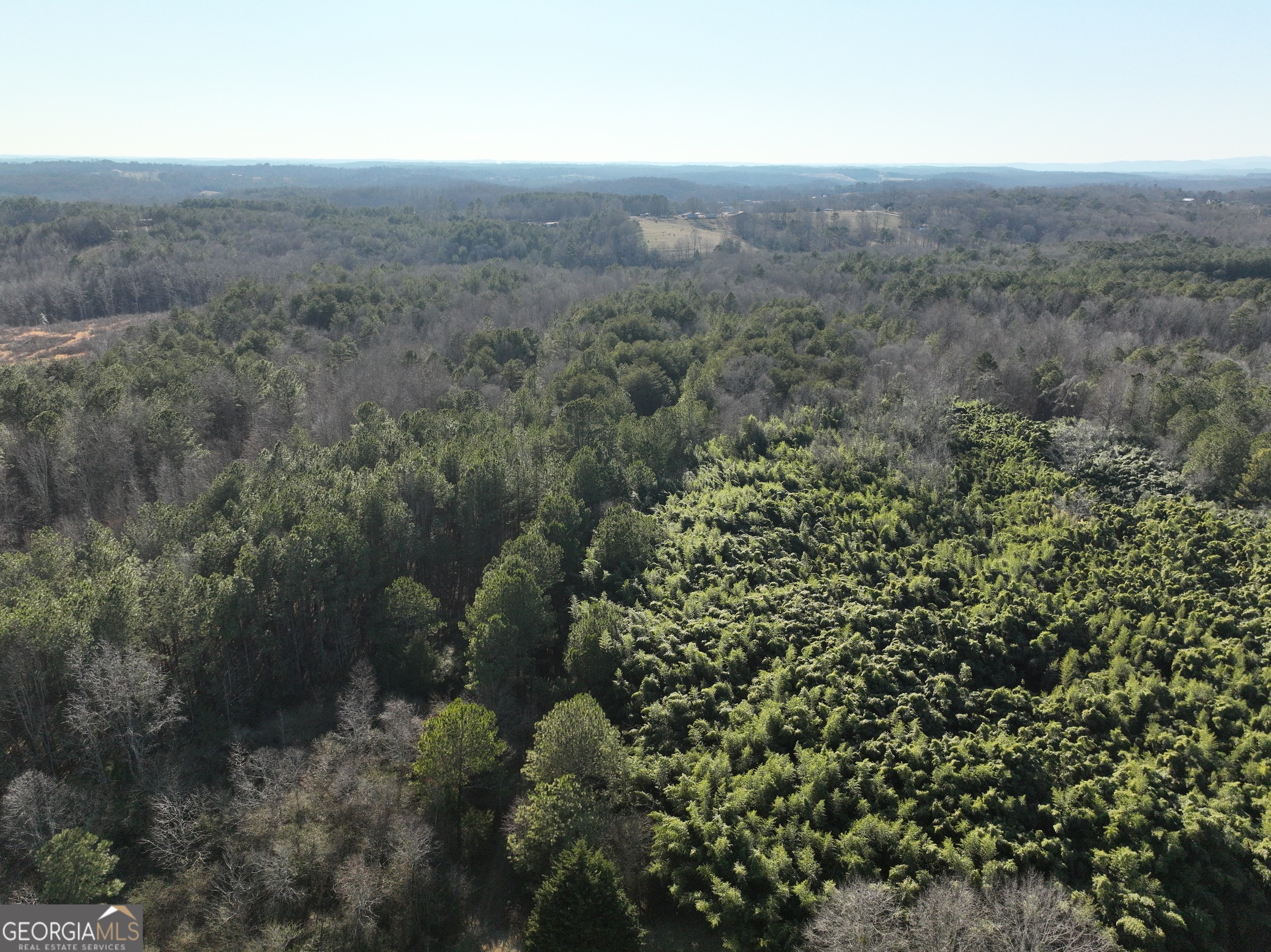 61 Highway 145 Eastanollee GA 30538