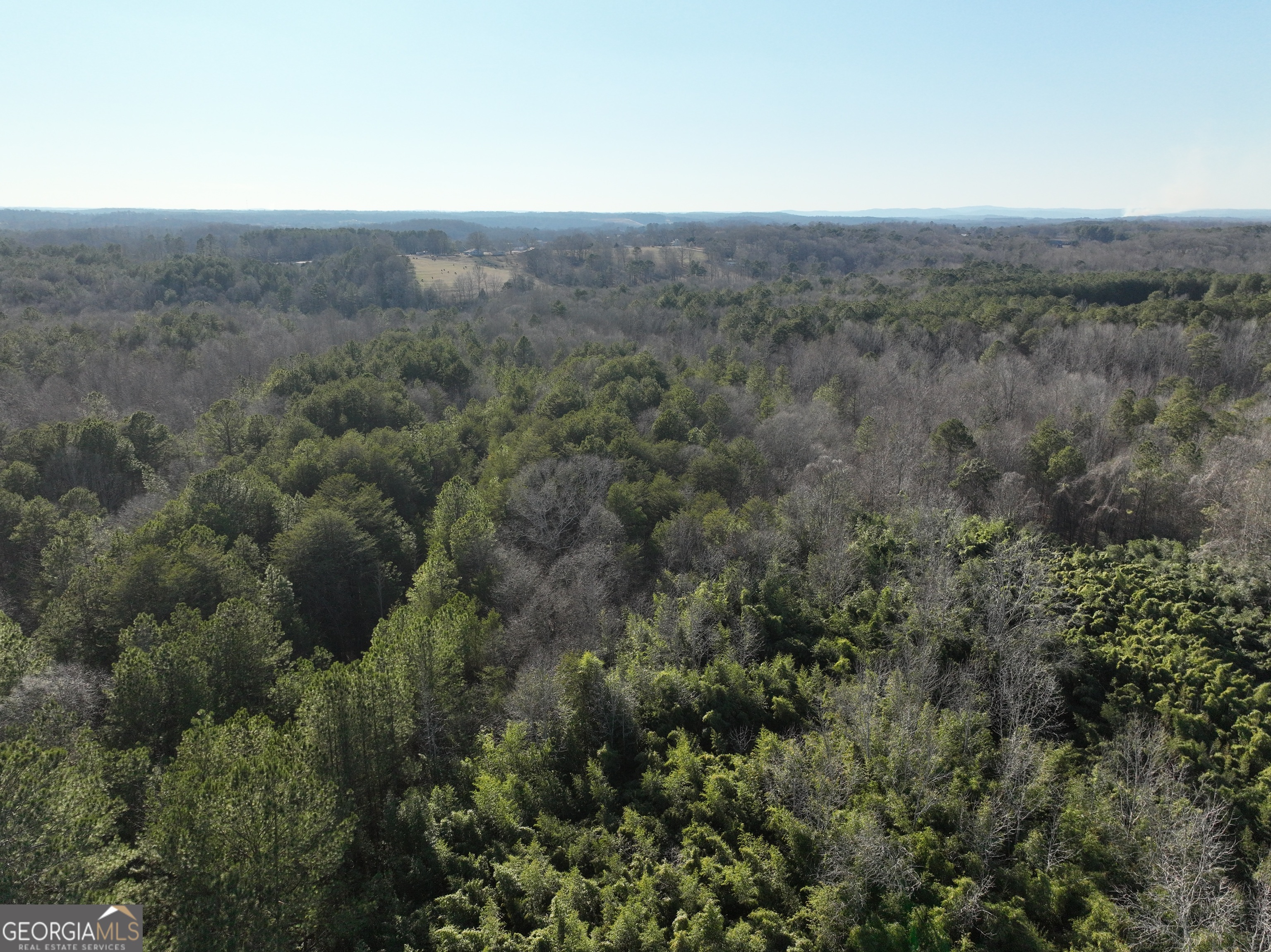 61 Highway 145 Eastanollee GA 30538
