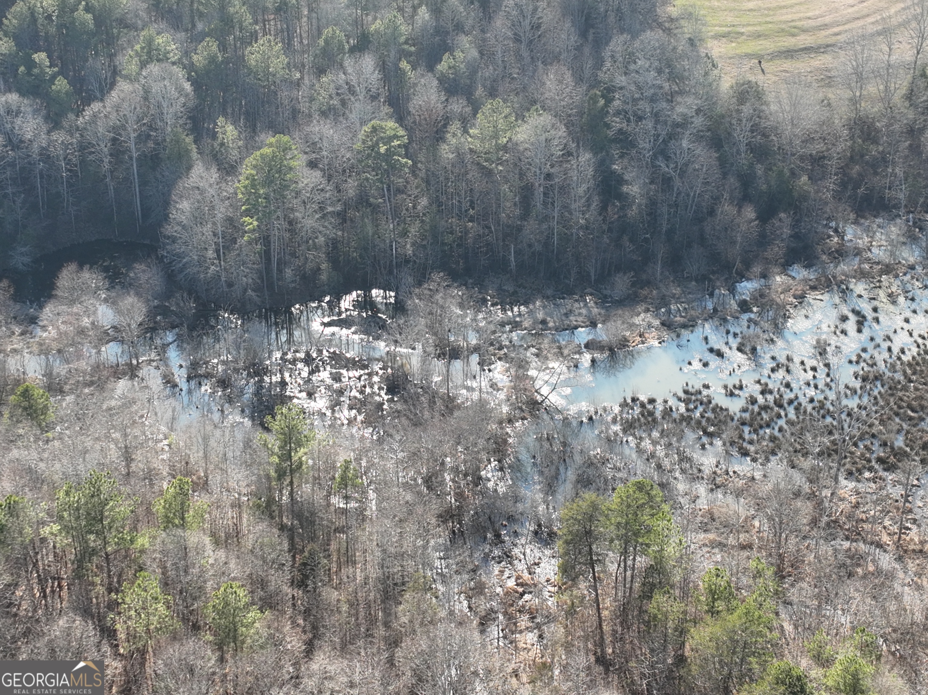 61 Highway 145 Eastanollee GA 30538