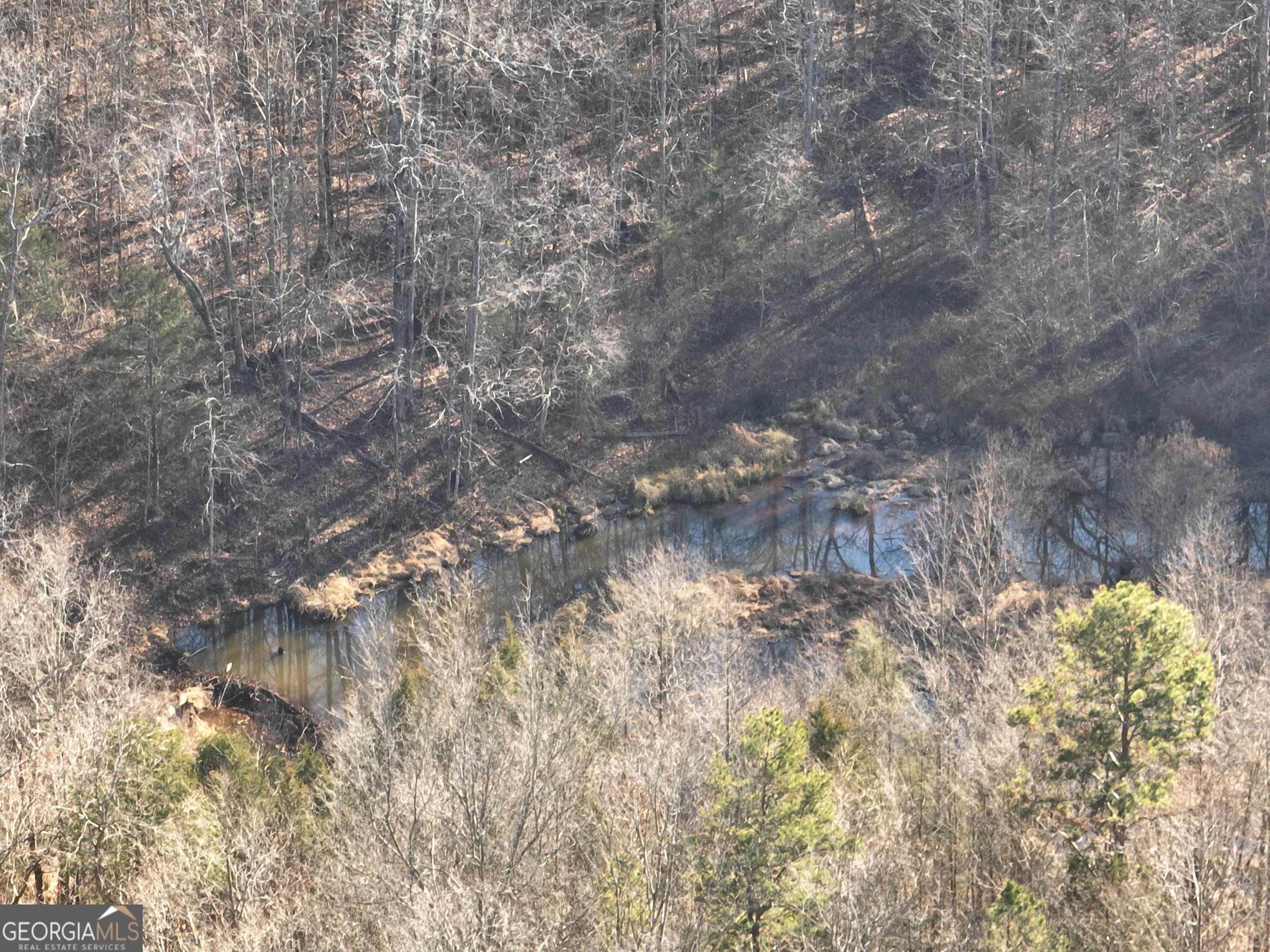 61 Highway 145 Eastanollee GA 30538