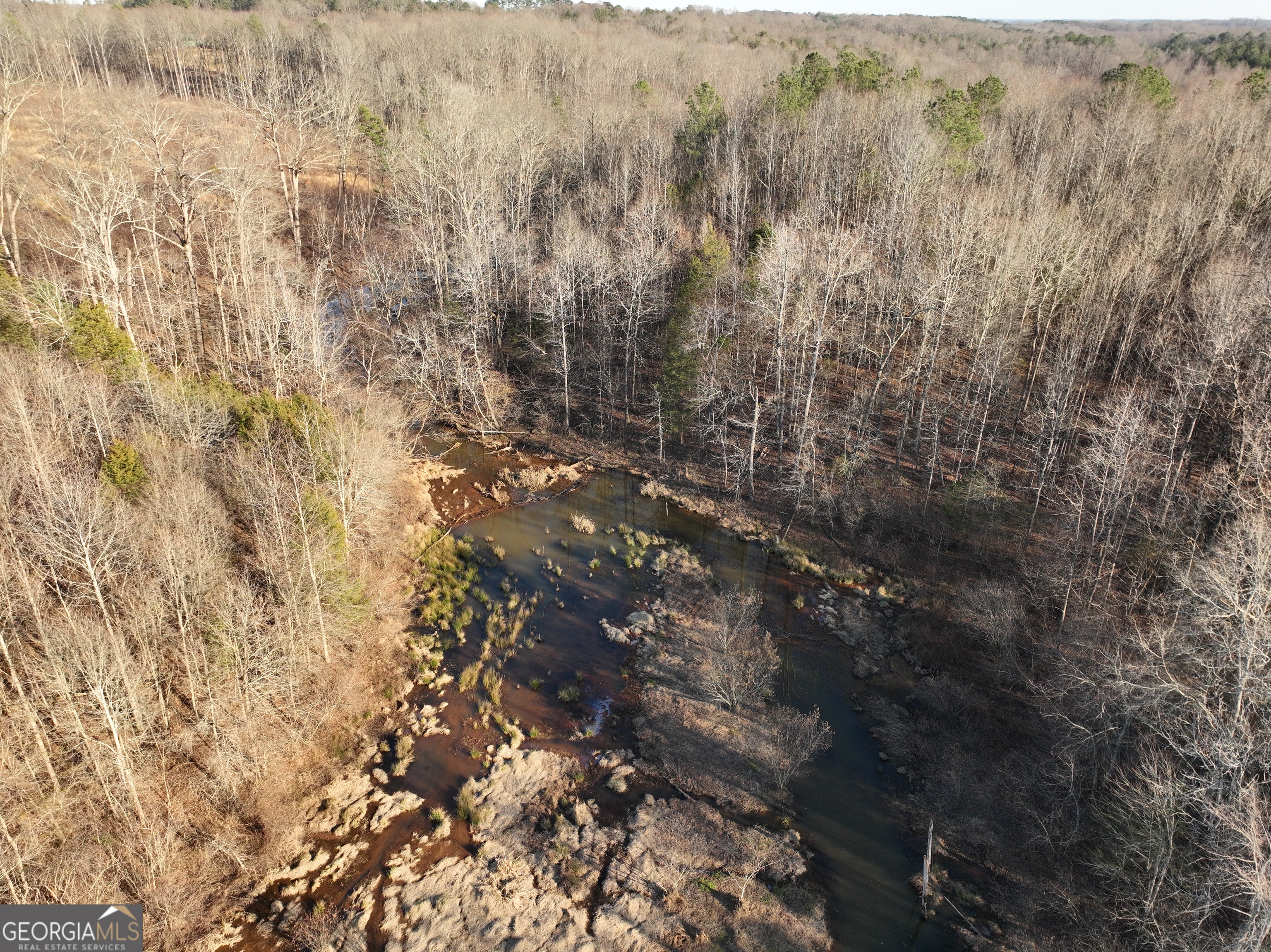 61 Highway 145 Eastanollee GA 30538