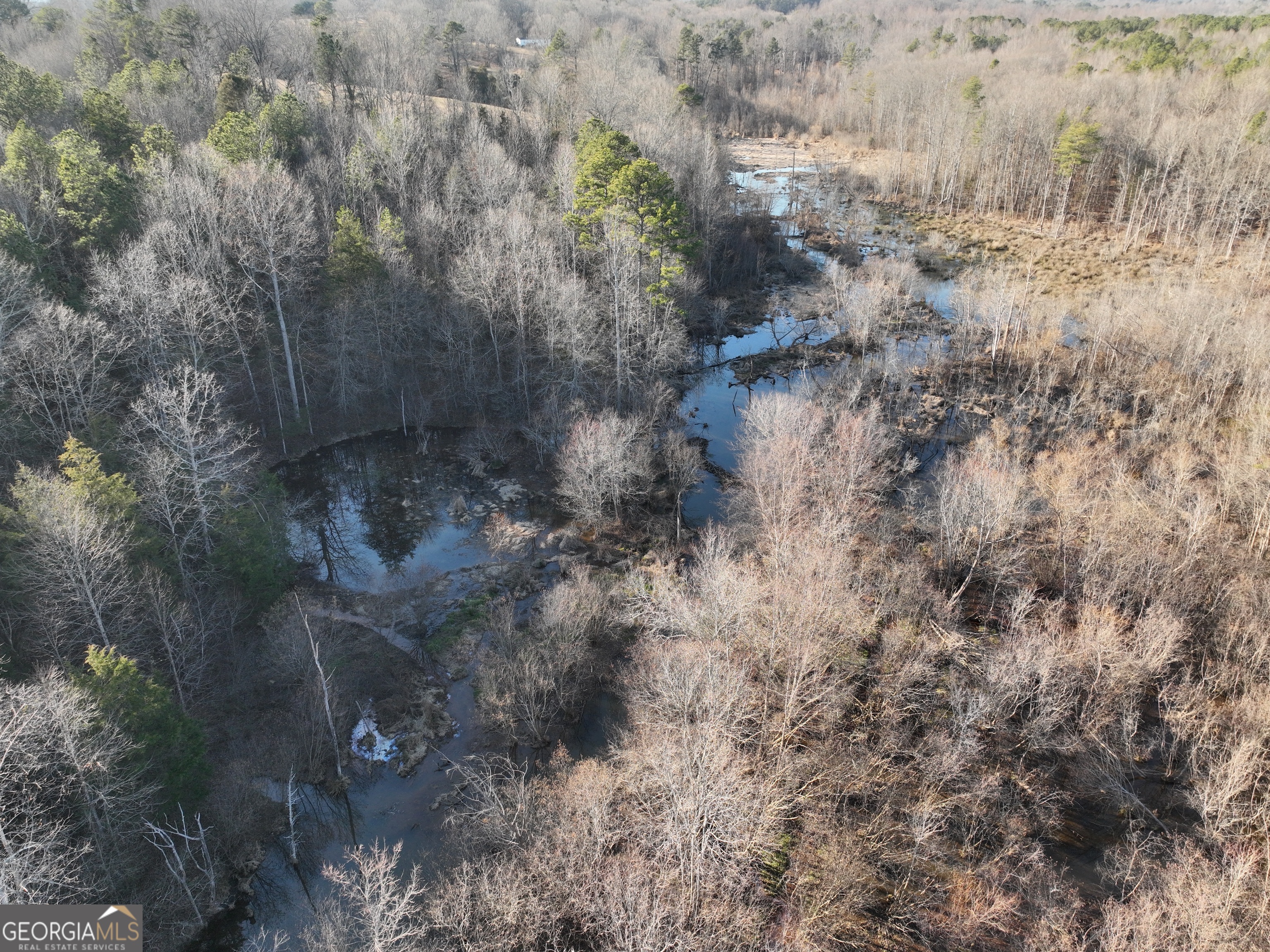 61 Highway 145 Eastanollee GA 30538