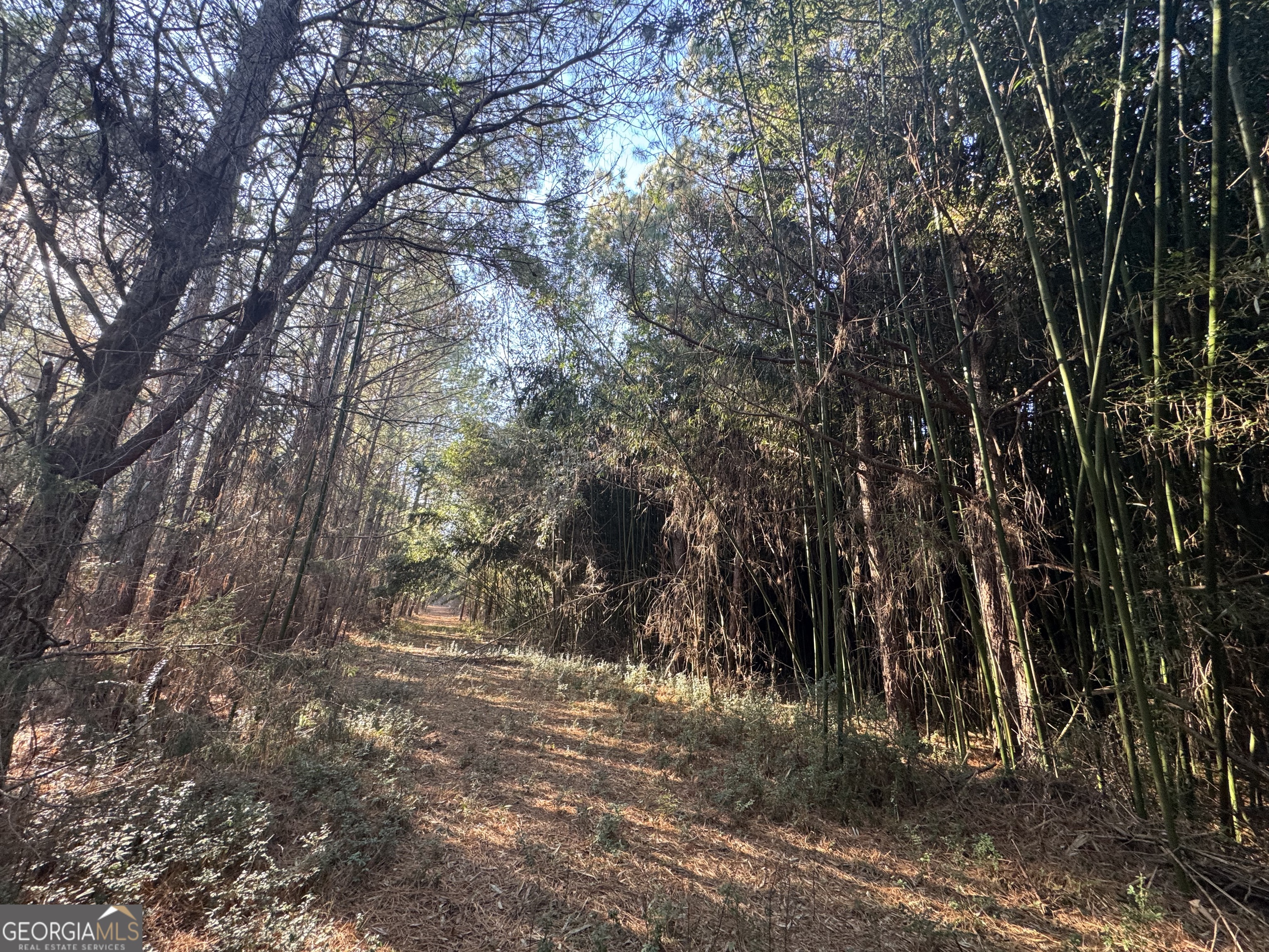 61 Highway 145 Eastanollee GA 30538