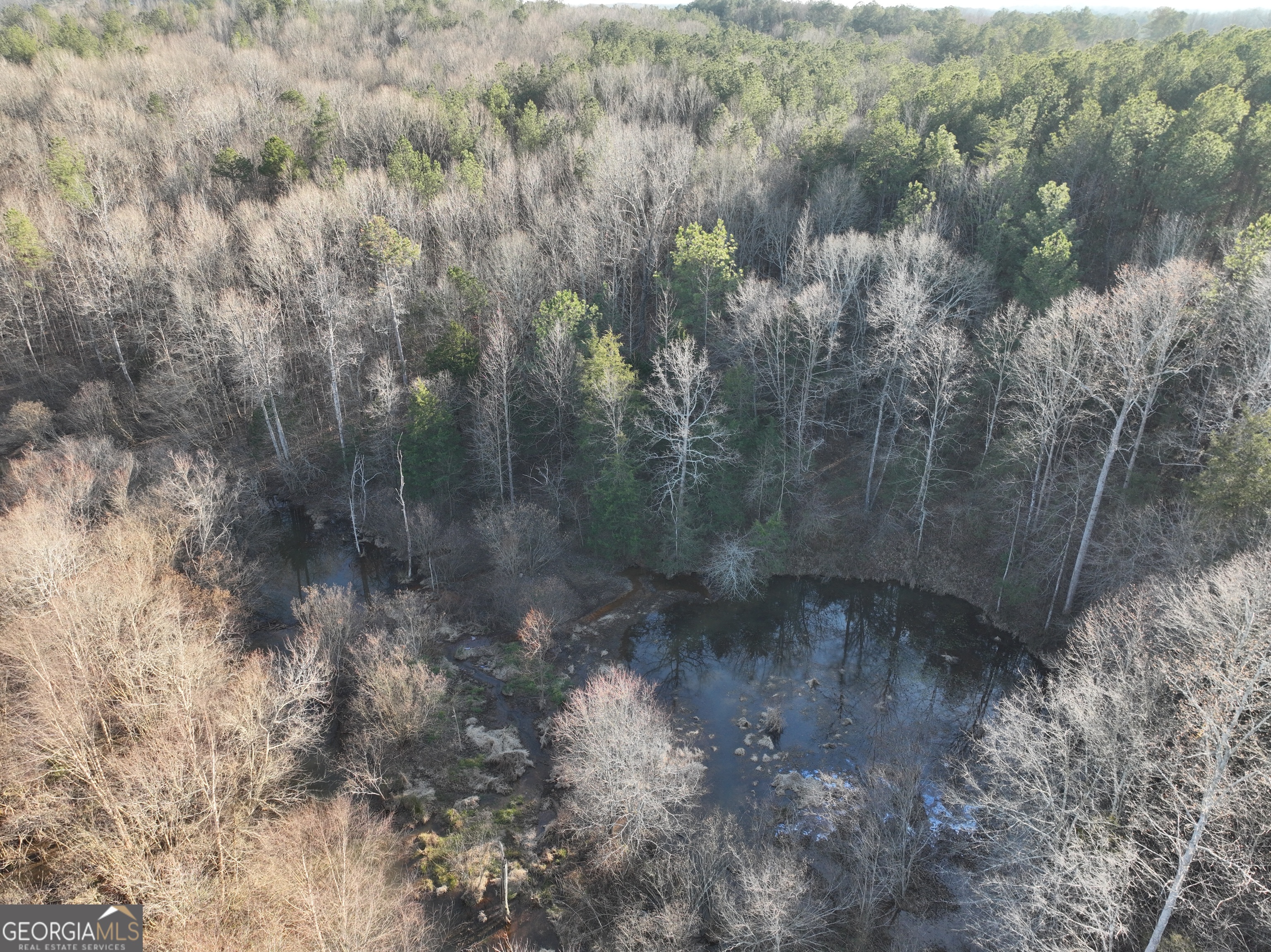 61 Highway 145 Eastanollee GA 30538