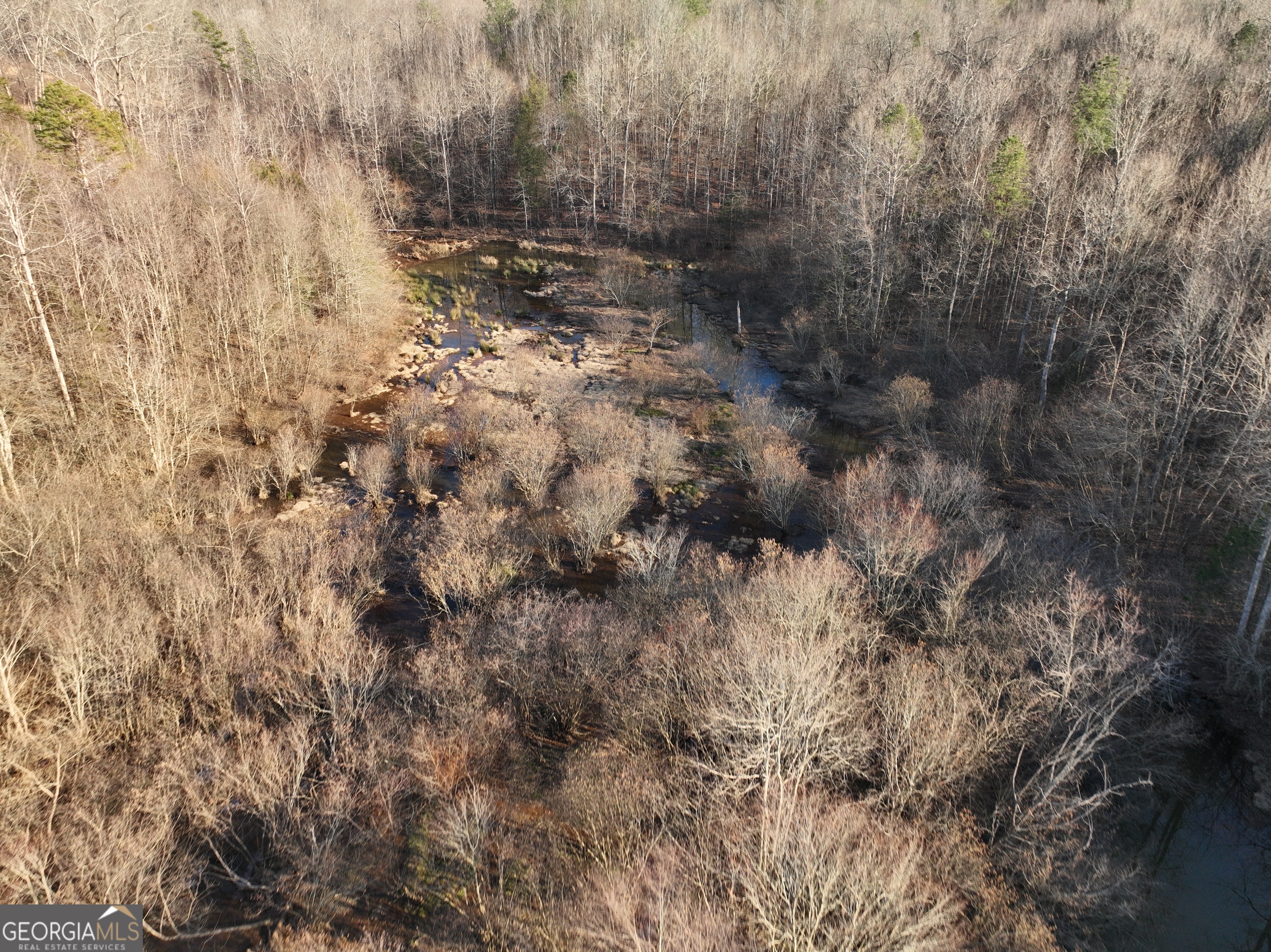61 Highway 145 Eastanollee GA 30538