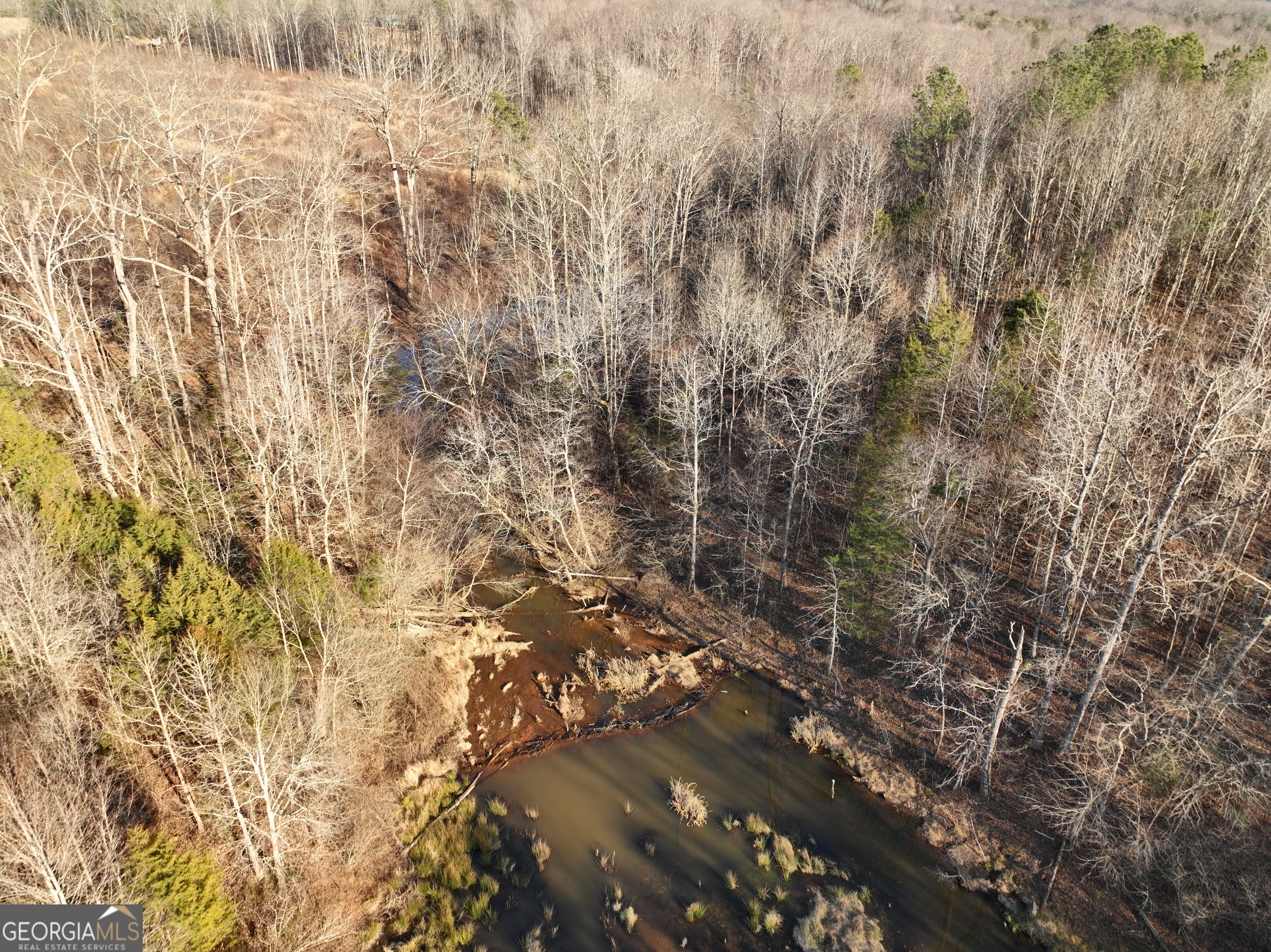 61 Highway 145 Eastanollee GA 30538