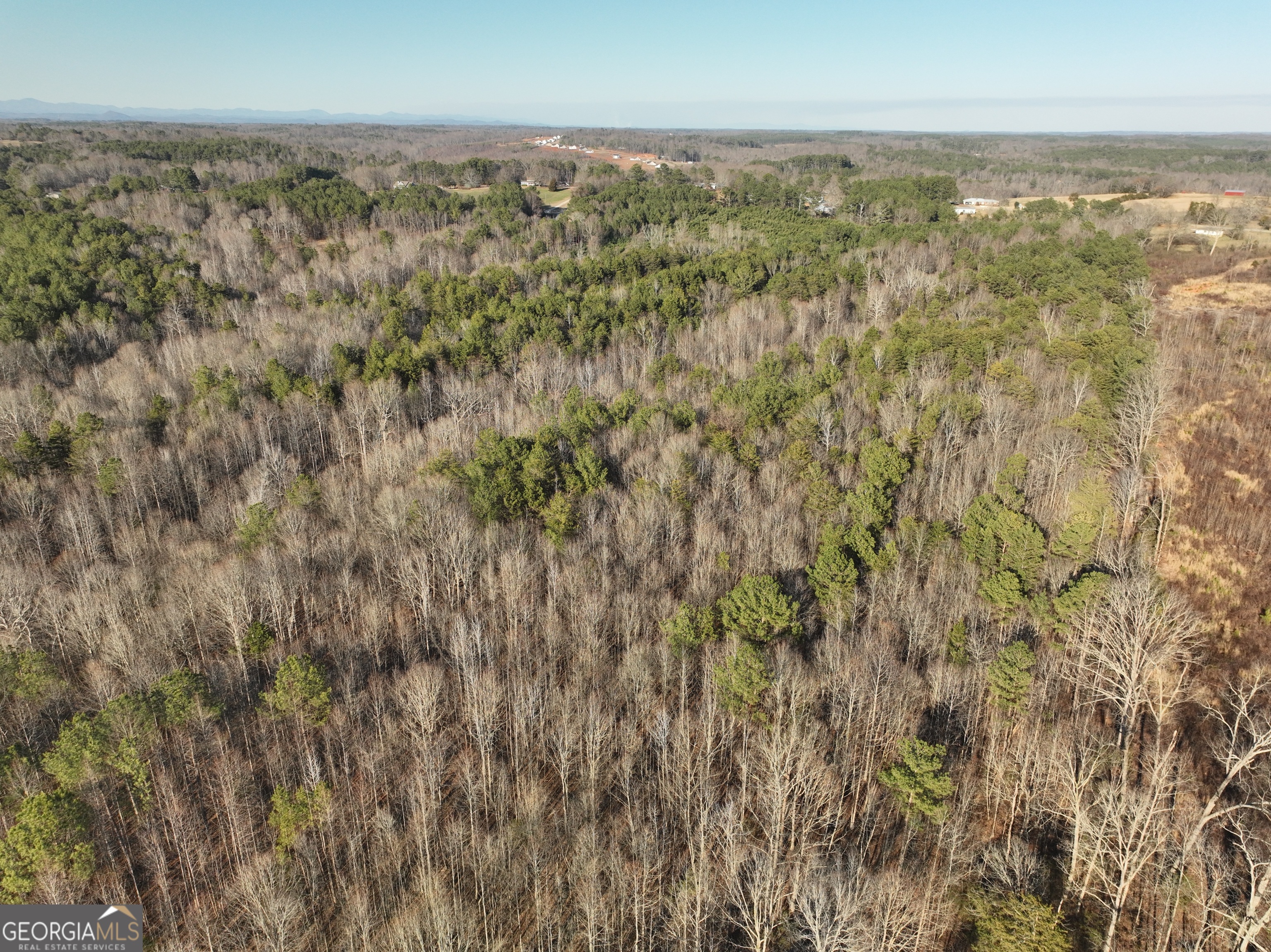 61 Highway 145 Eastanollee GA 30538