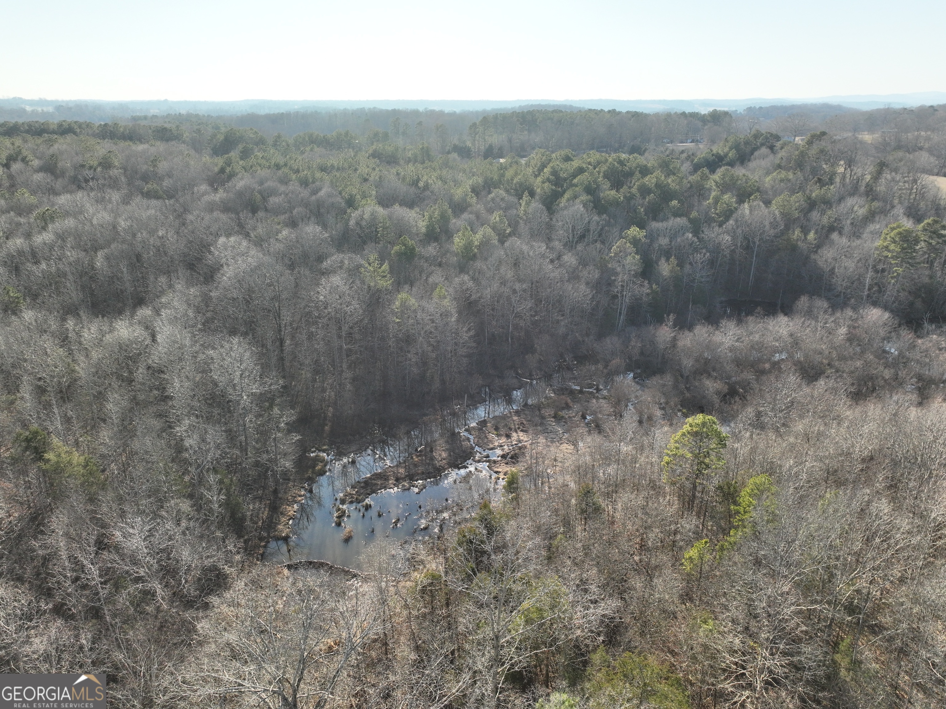 61 Highway 145 Eastanollee GA 30538