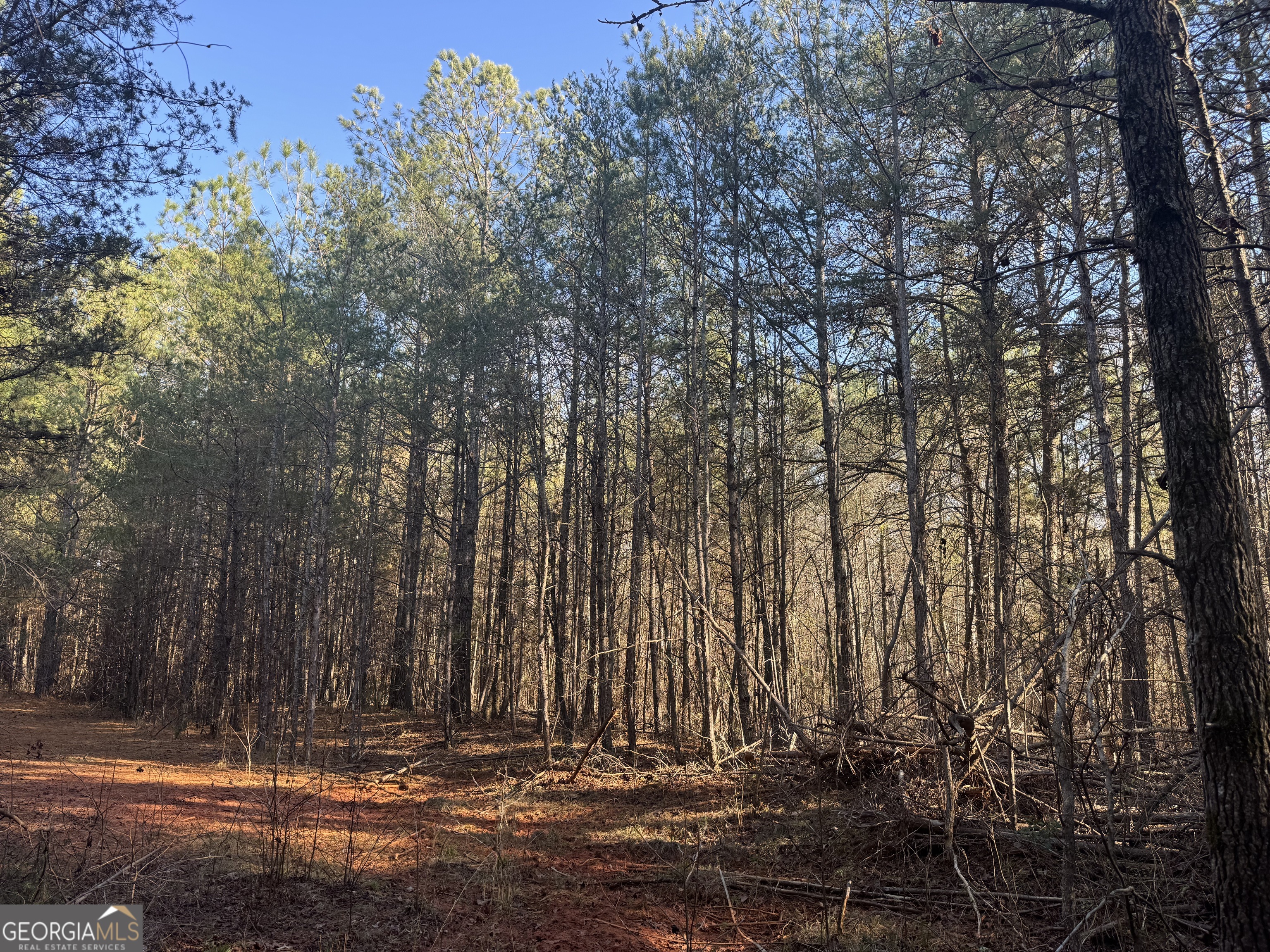 61 Highway 145 Eastanollee GA 30538