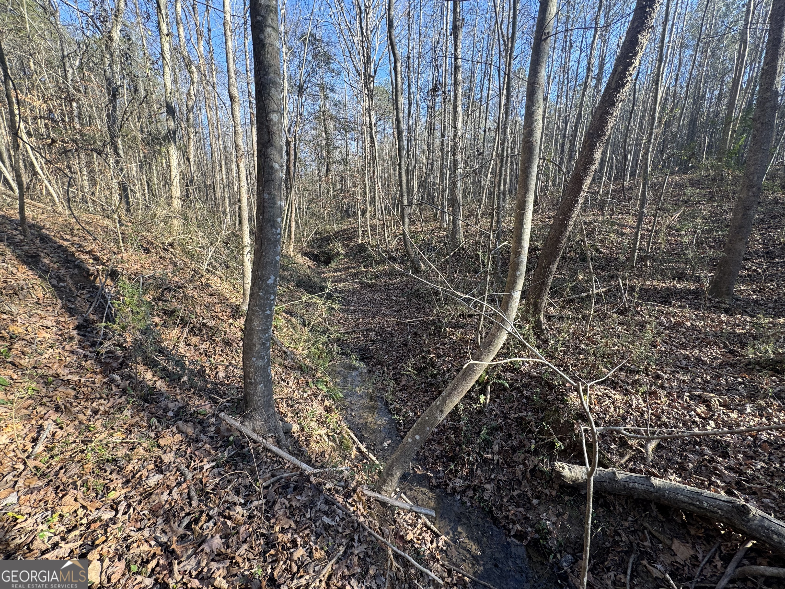 61 Highway 145 Eastanollee GA 30538