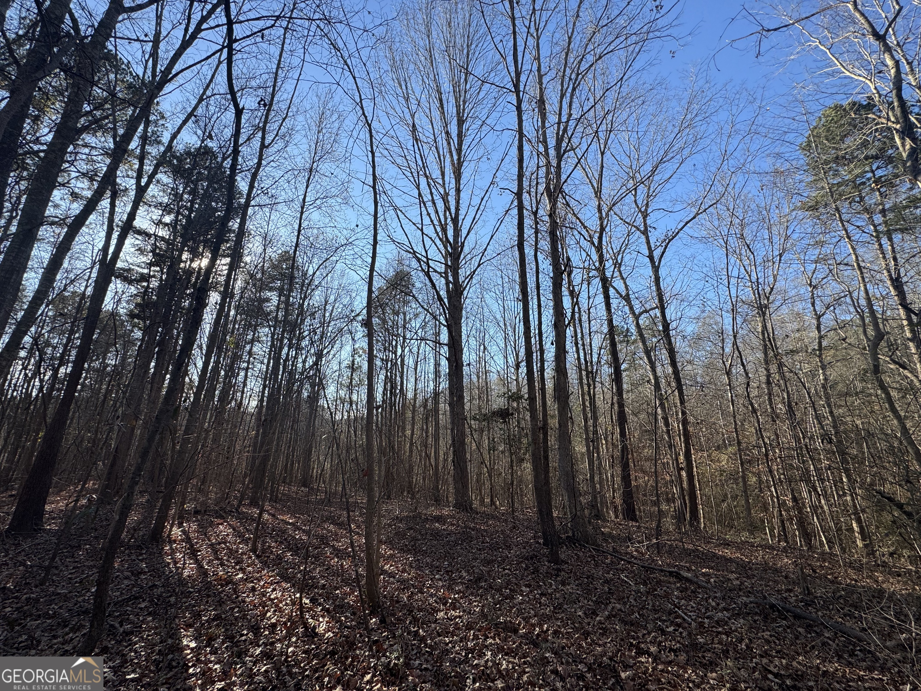 61 Highway 145 Eastanollee GA 30538