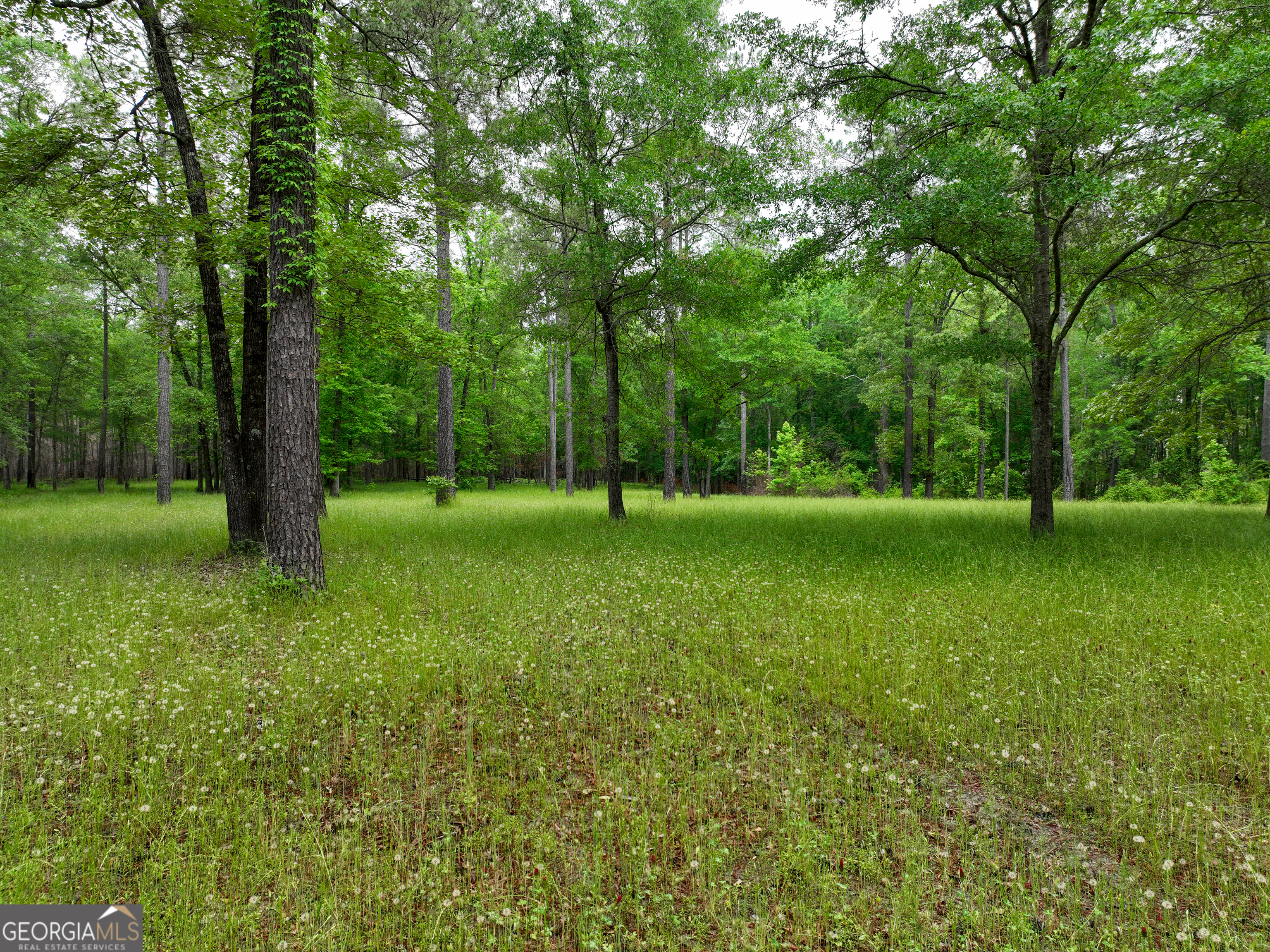 6620 Jr Sims Road Irwinton GA 31042